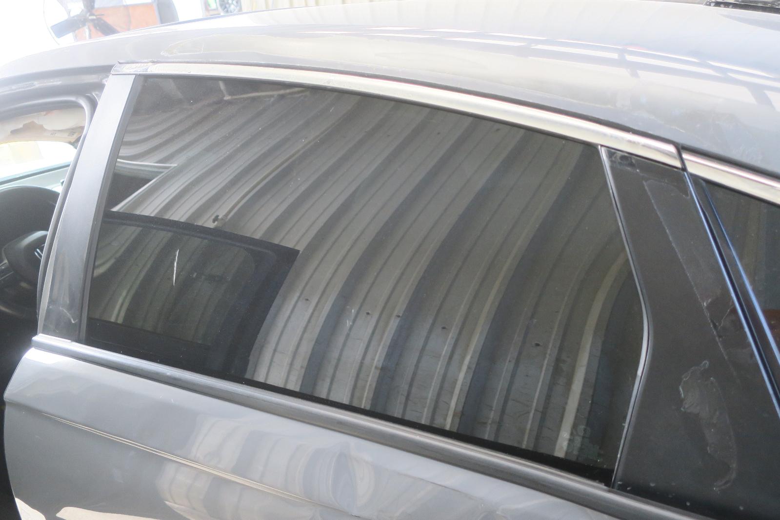 Rear Door Glass