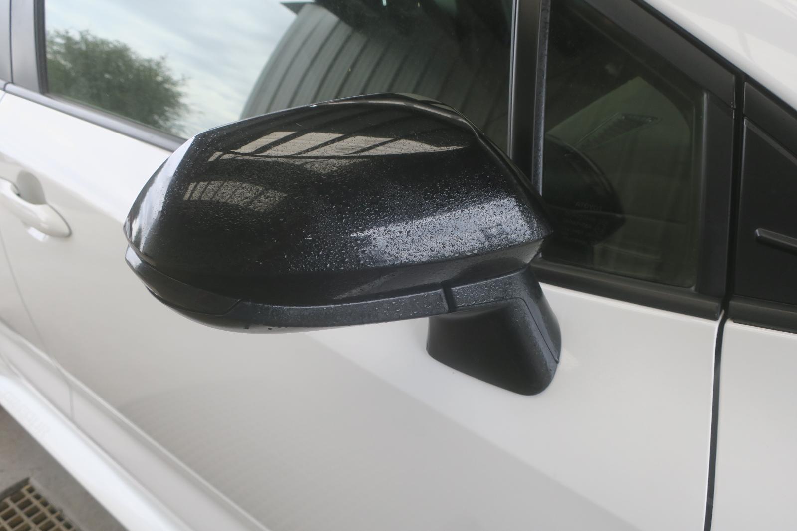 Door Mirror