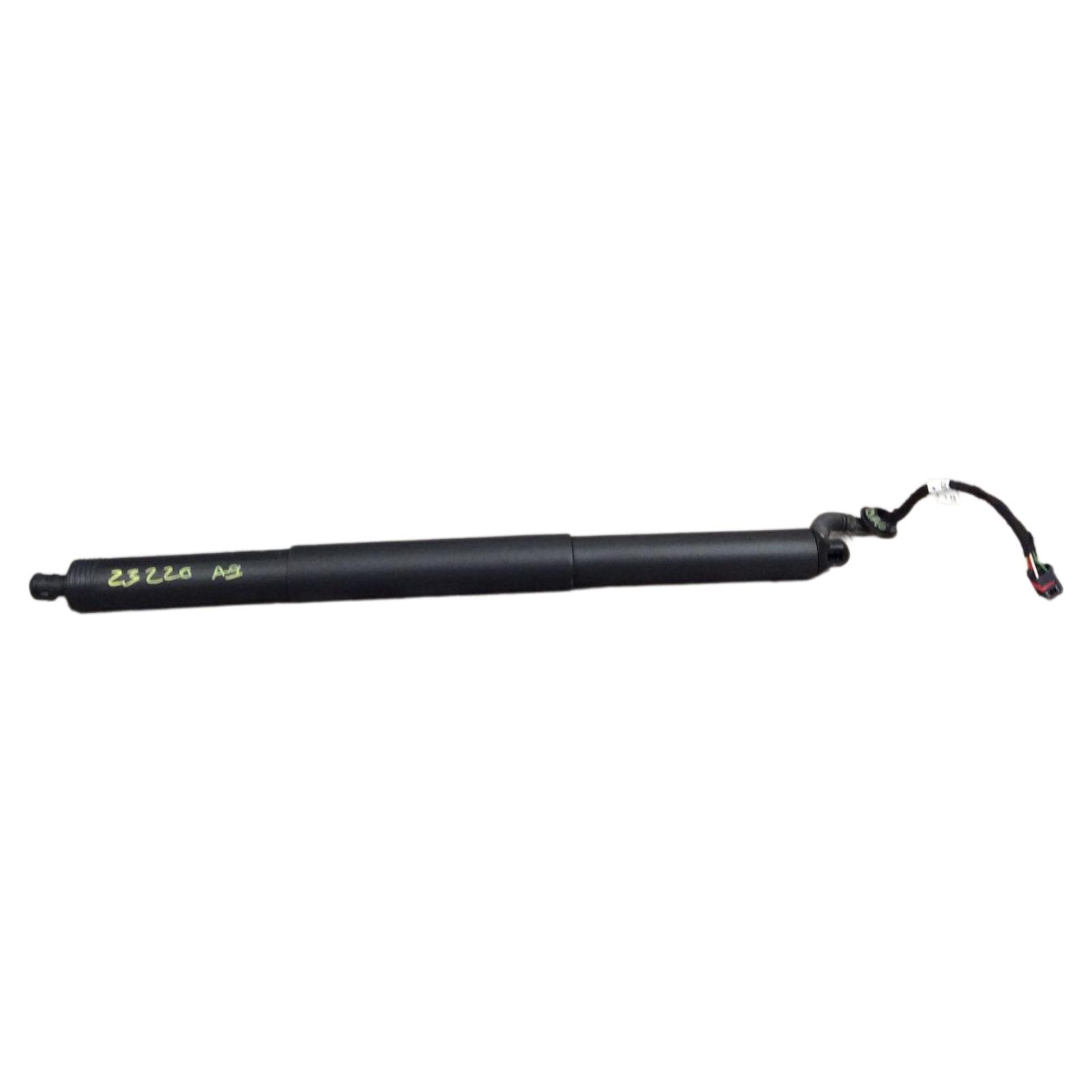 Trunk Lid Motor