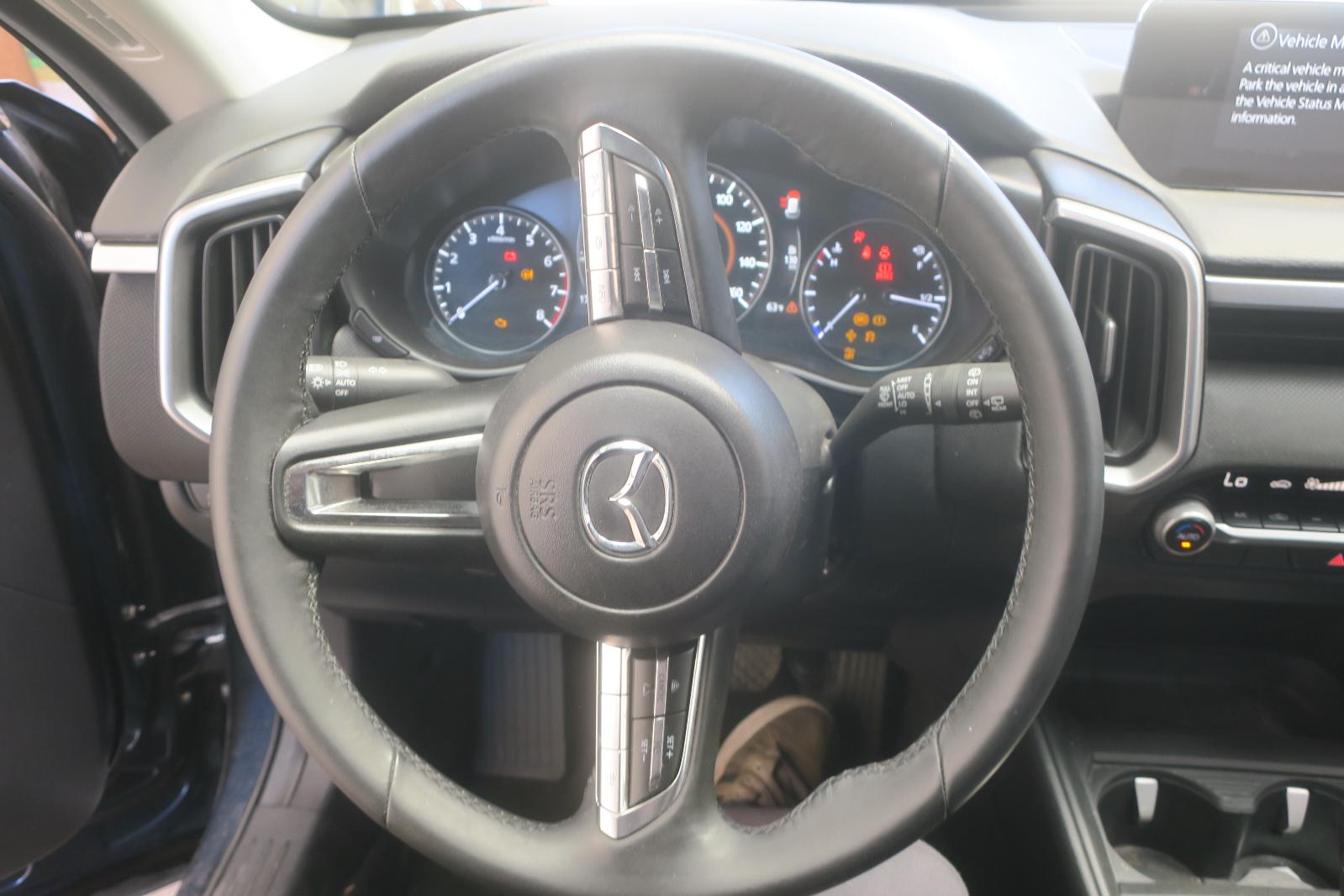 Steering Wheel