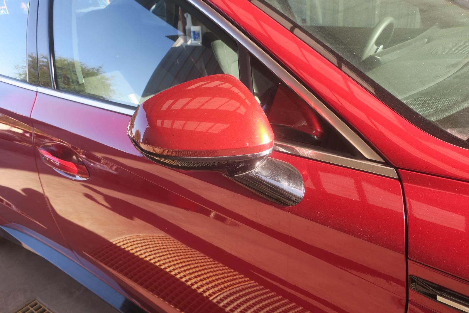 Door Mirror