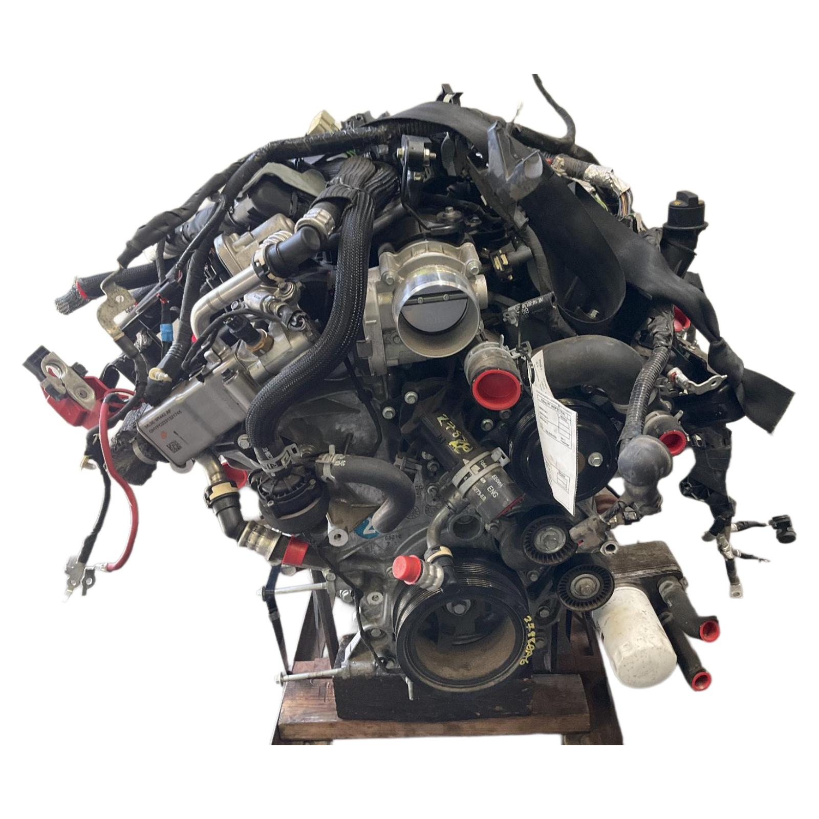 Engine Assembly