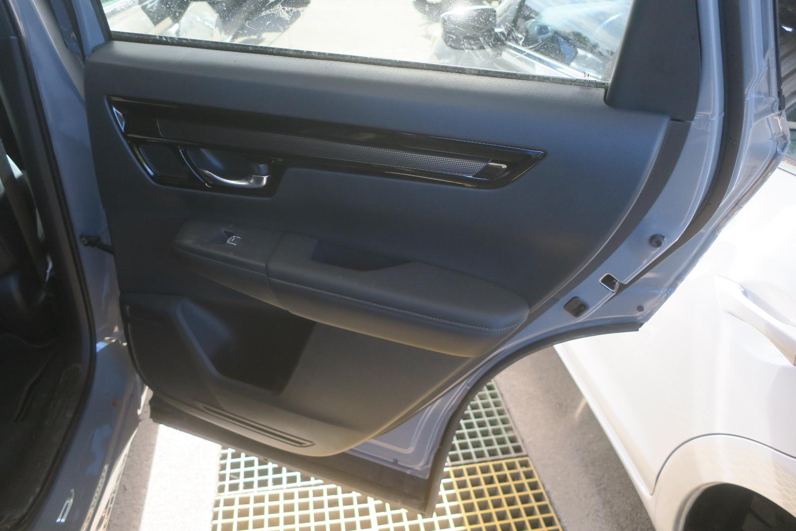 Trim Panel, Rr Dr