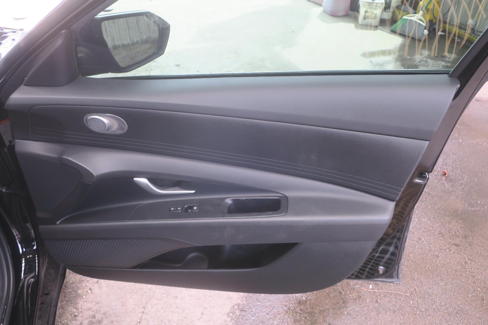 Trim Panel, Fr Dr