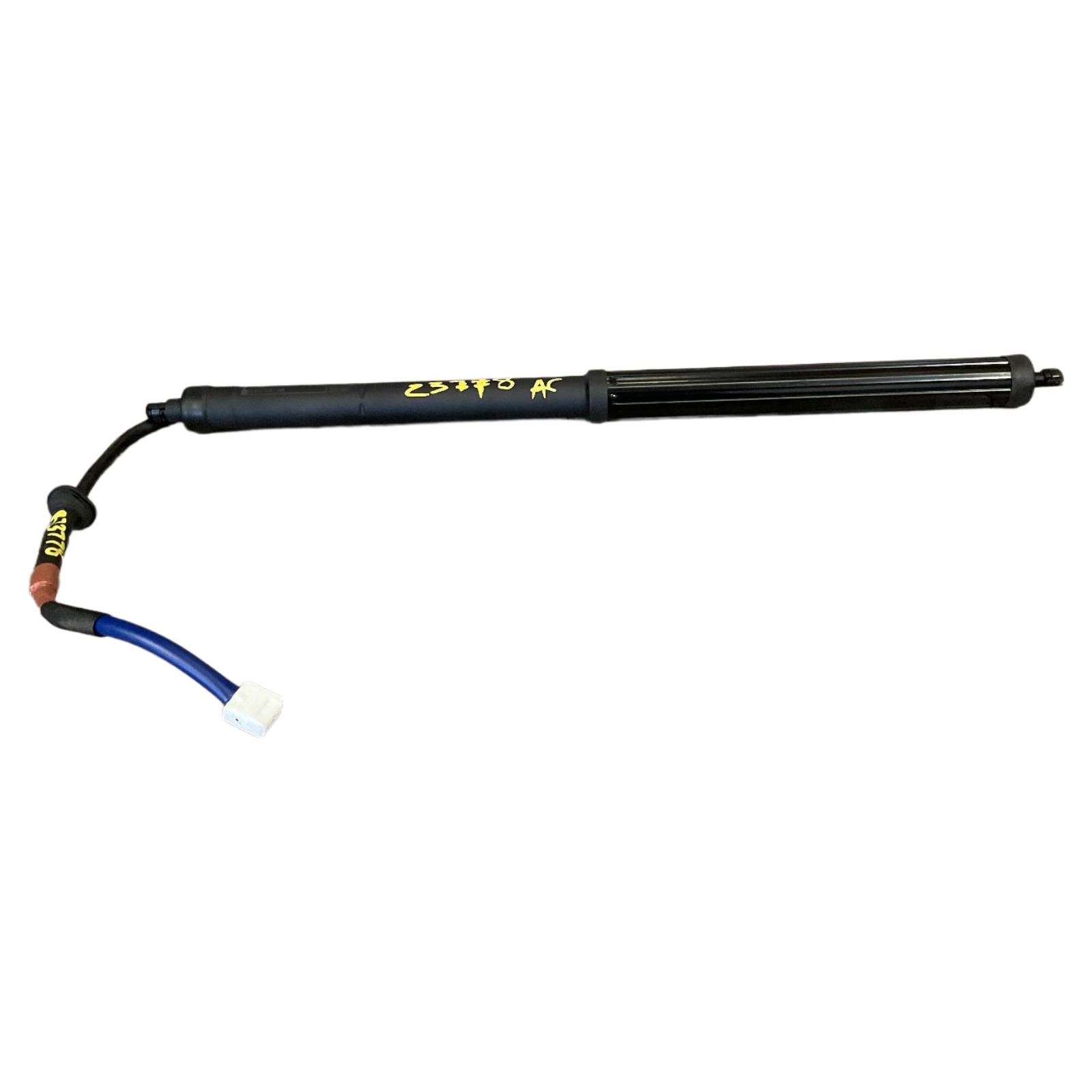 Trunk Lid Motor