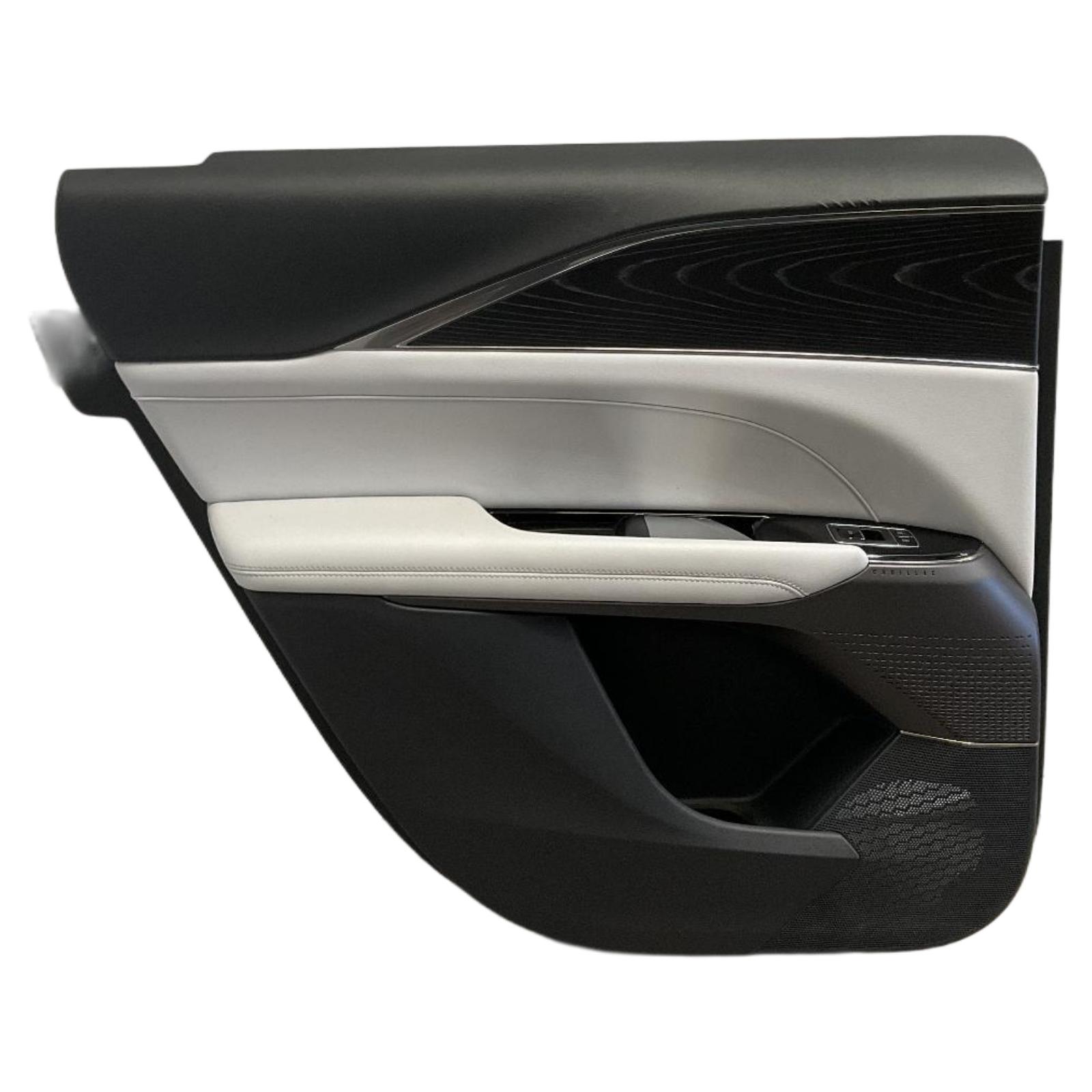 Trim Panel, Rr Dr