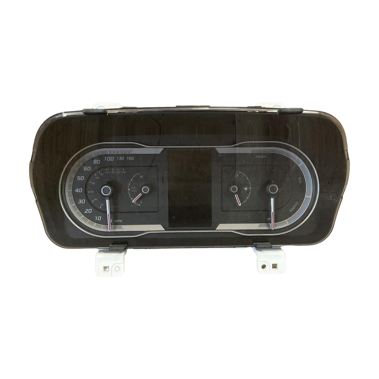 Speedometer Assembly