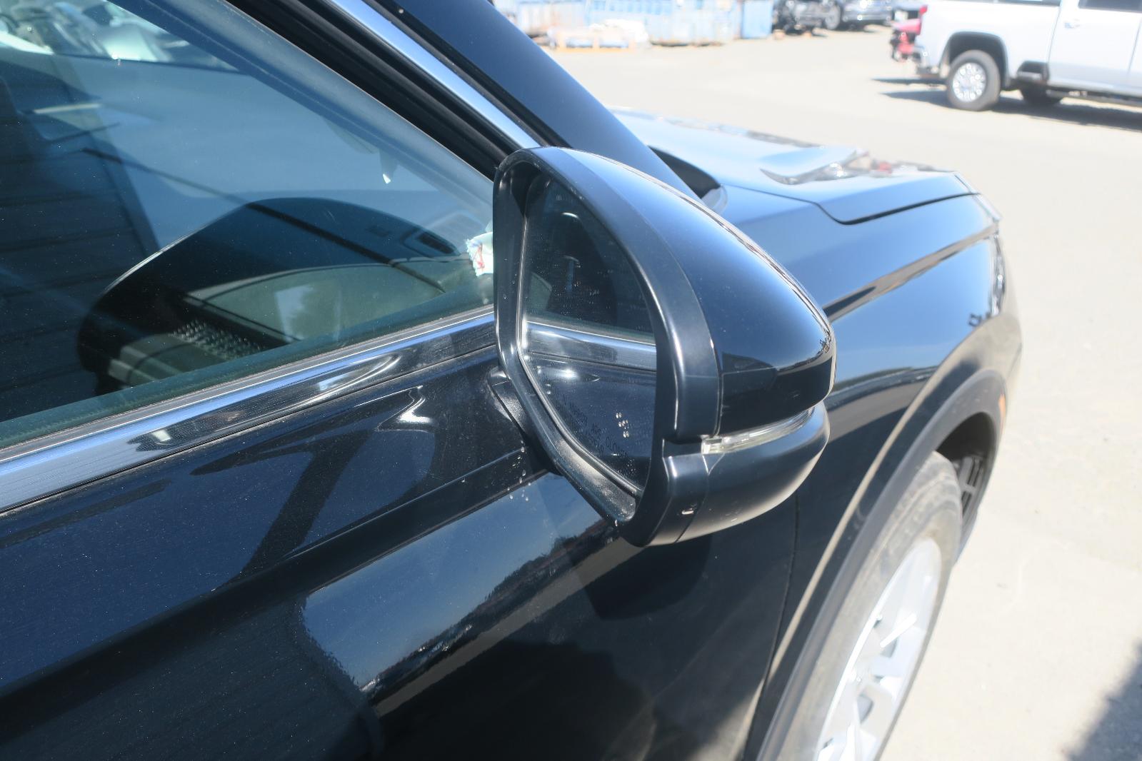 Door Mirror