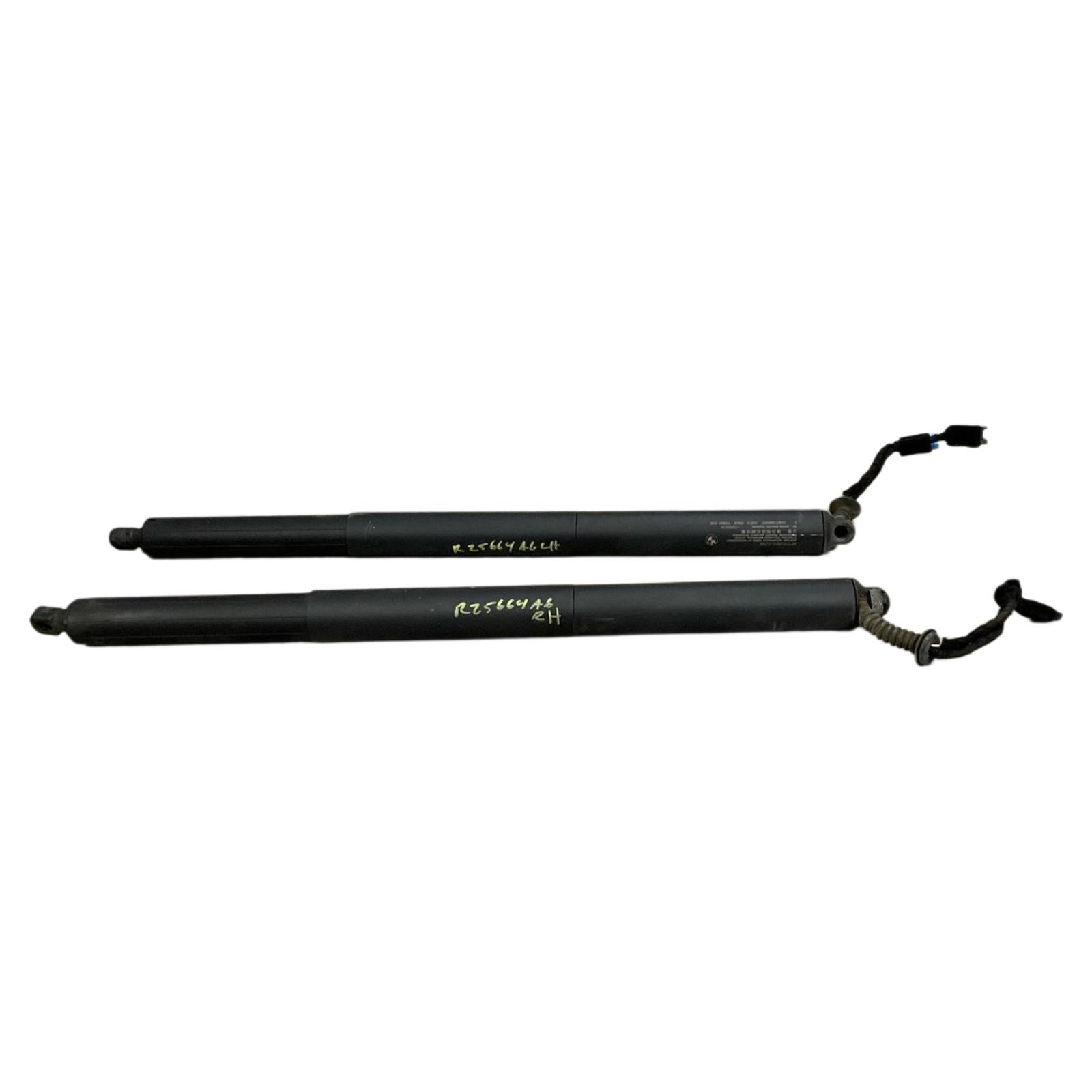 Trunk Lid Motor