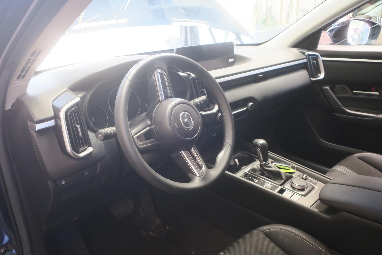 Dash Panel