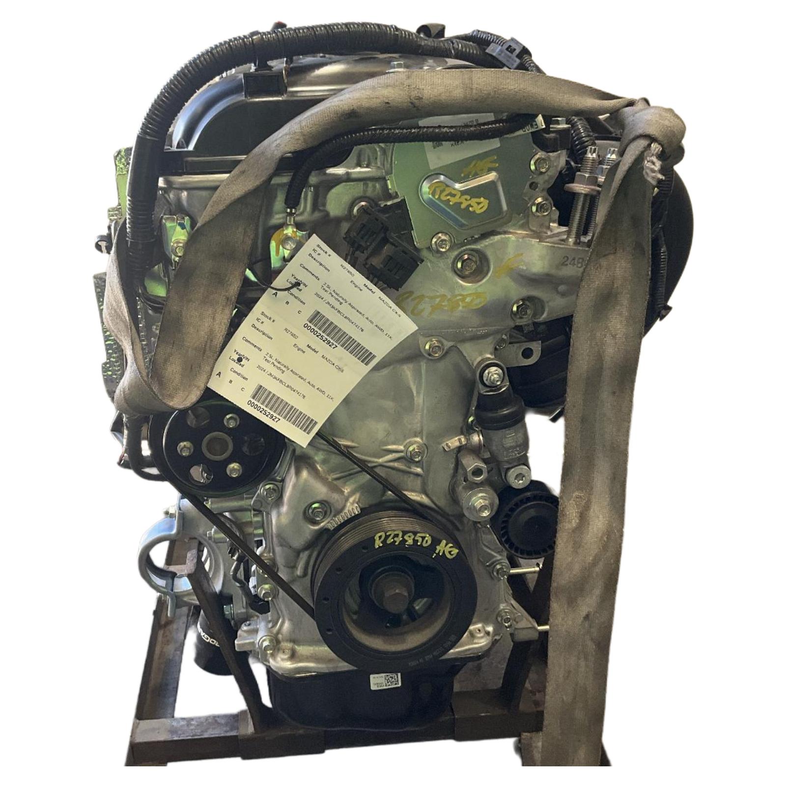 Engine Assembly
