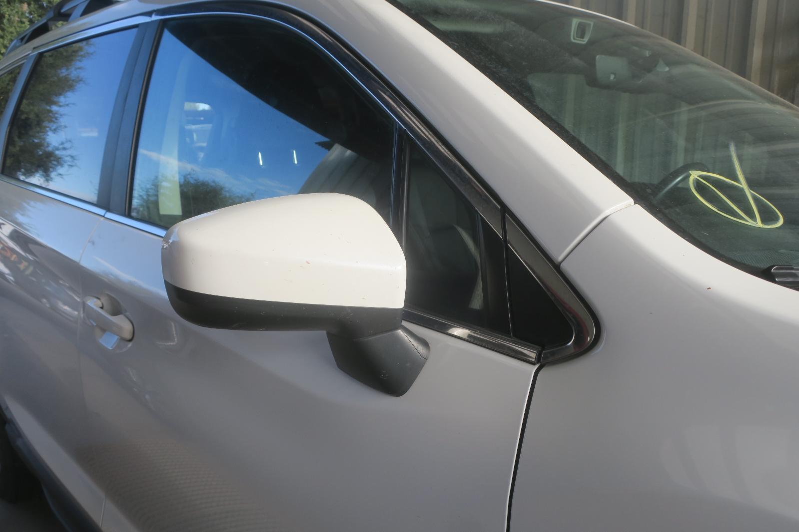 Door Mirror