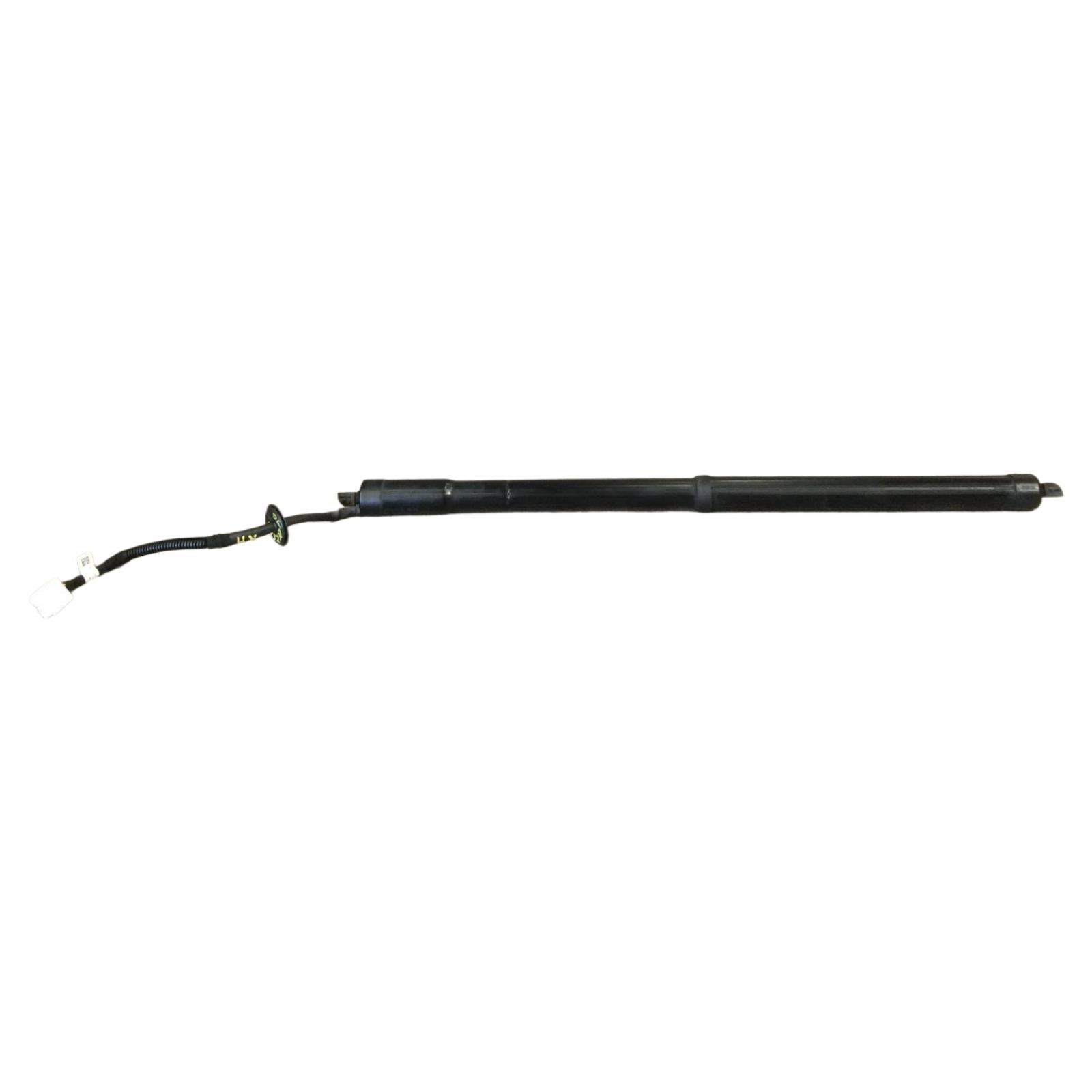 Trunk Lid Motor