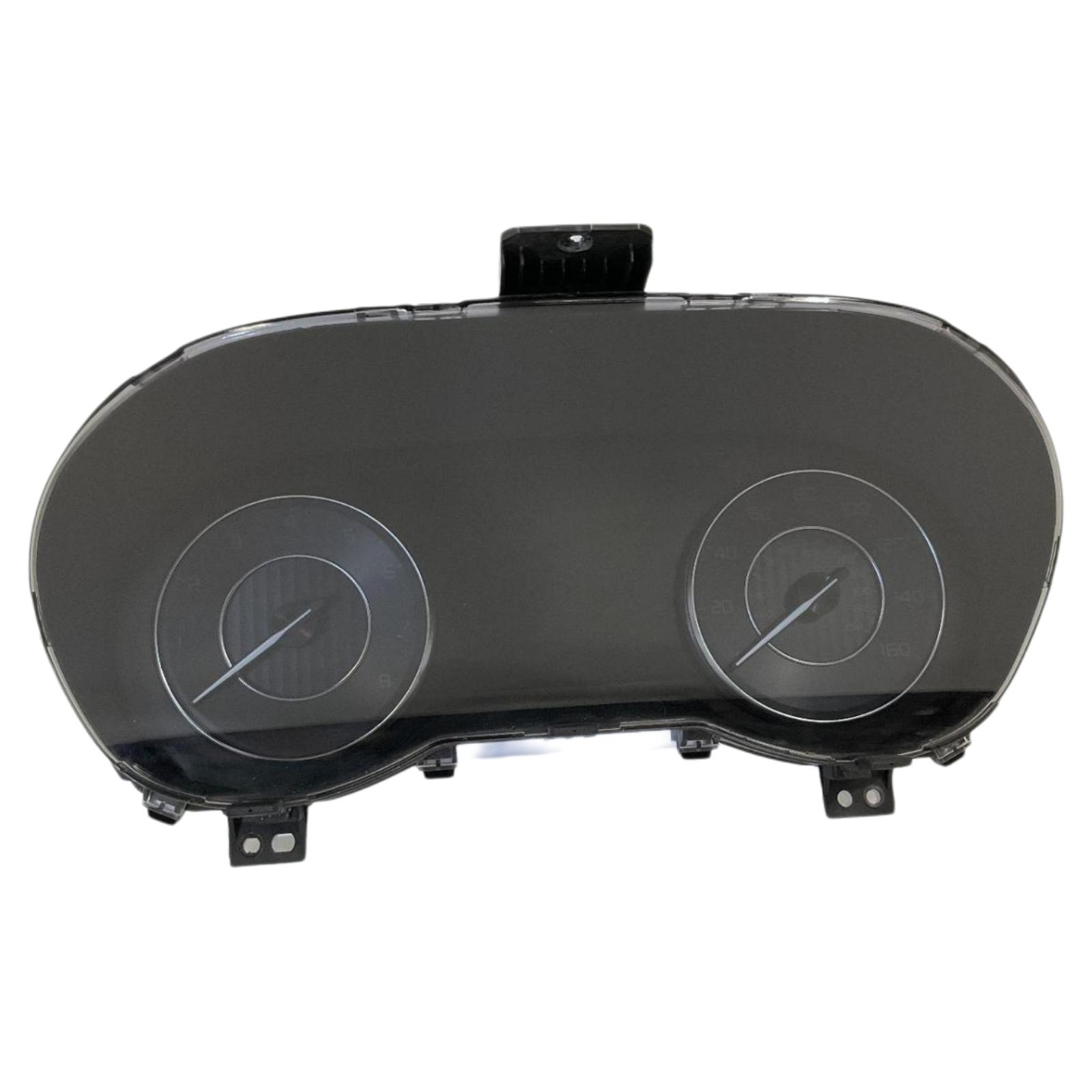 Speedo Head/Cluster
