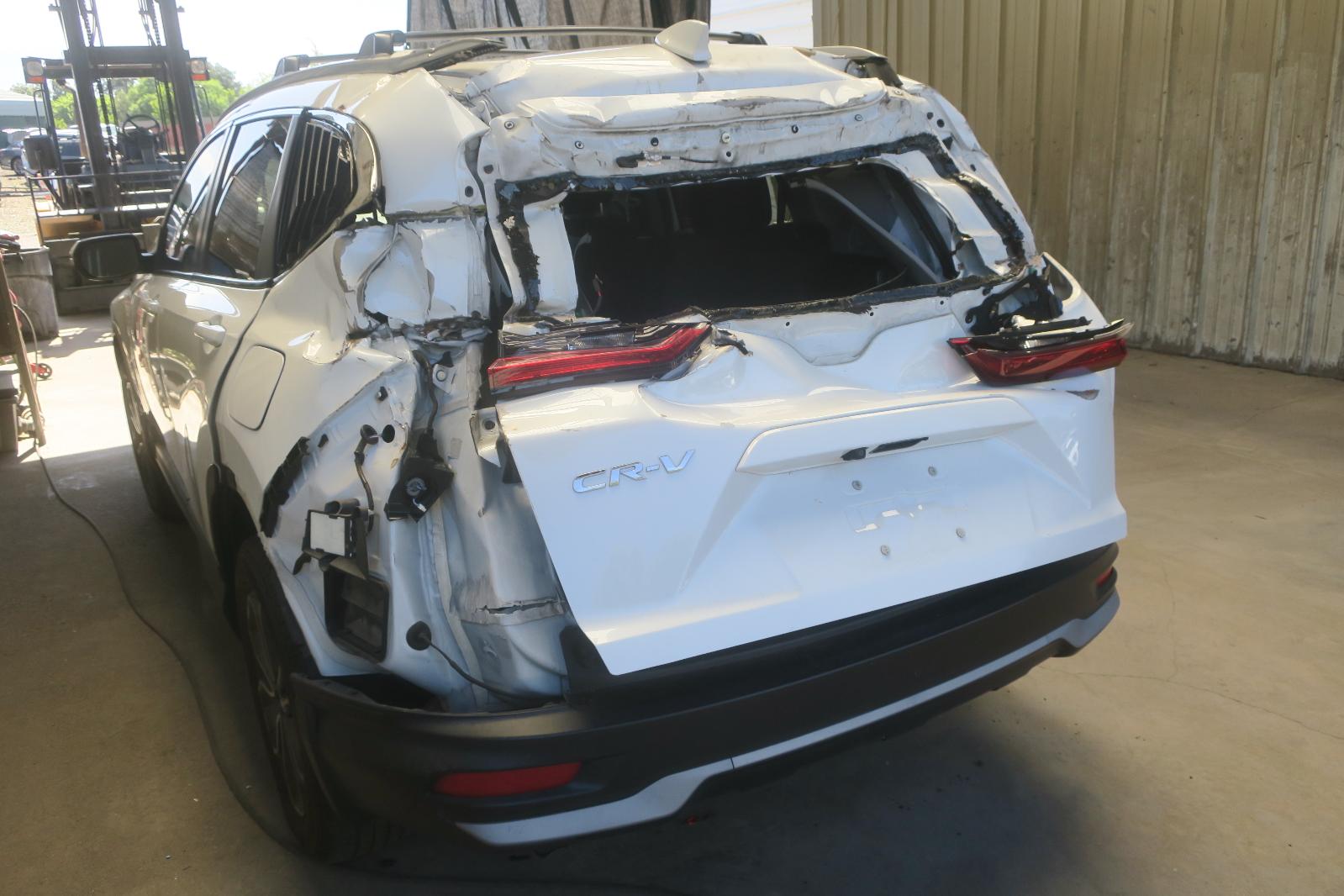 Rear Bumper Assembly
