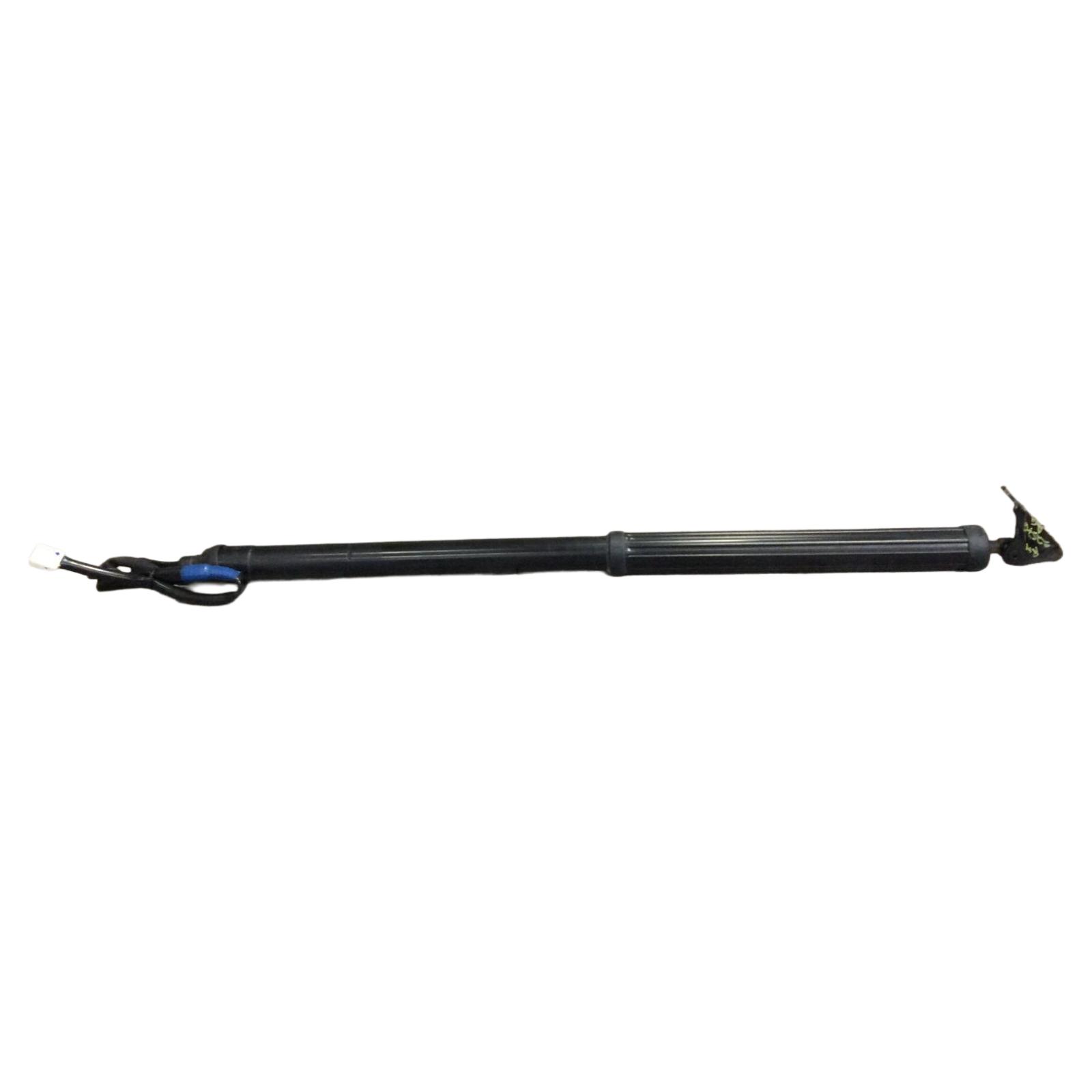 Trunk Lid Motor