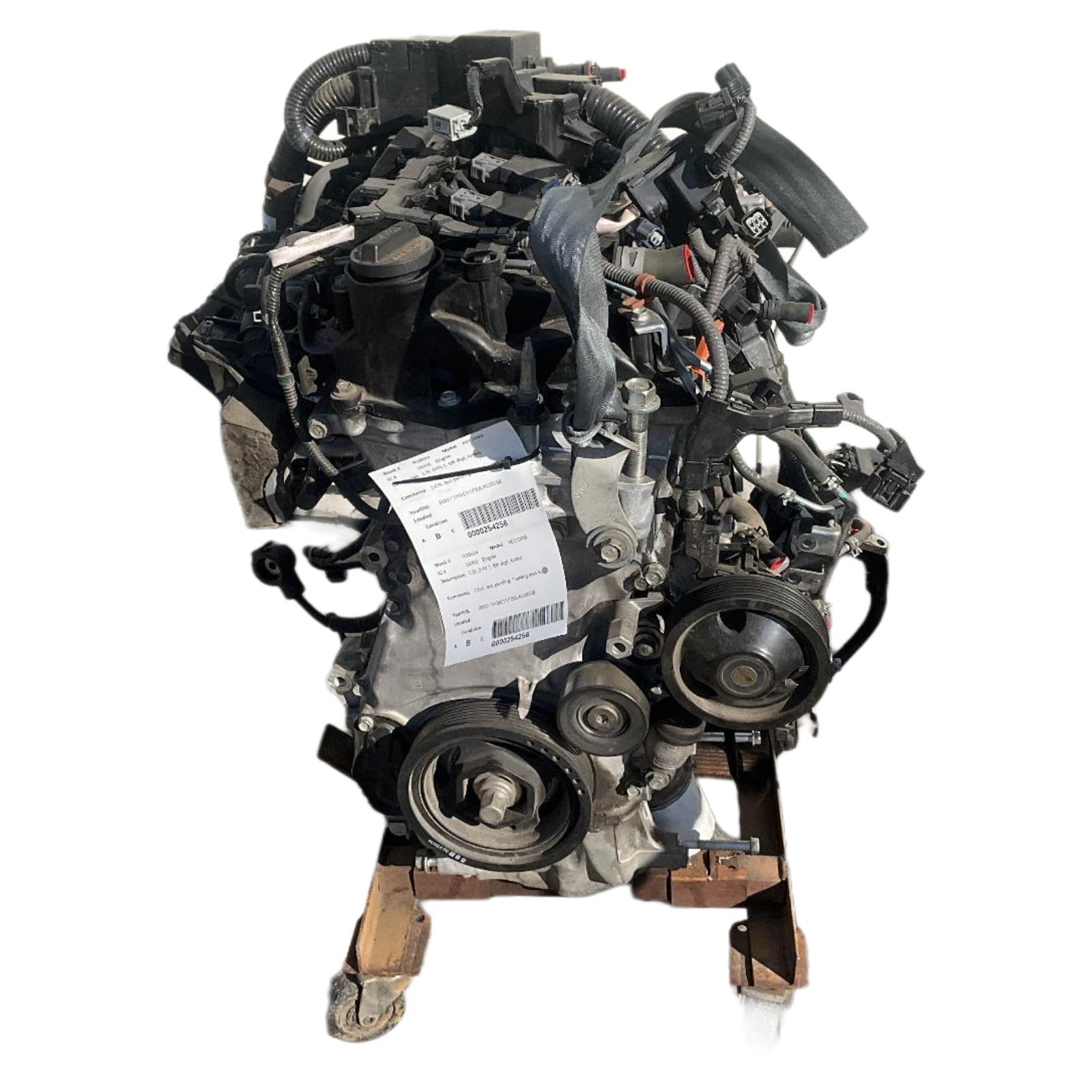 Engine Assembly