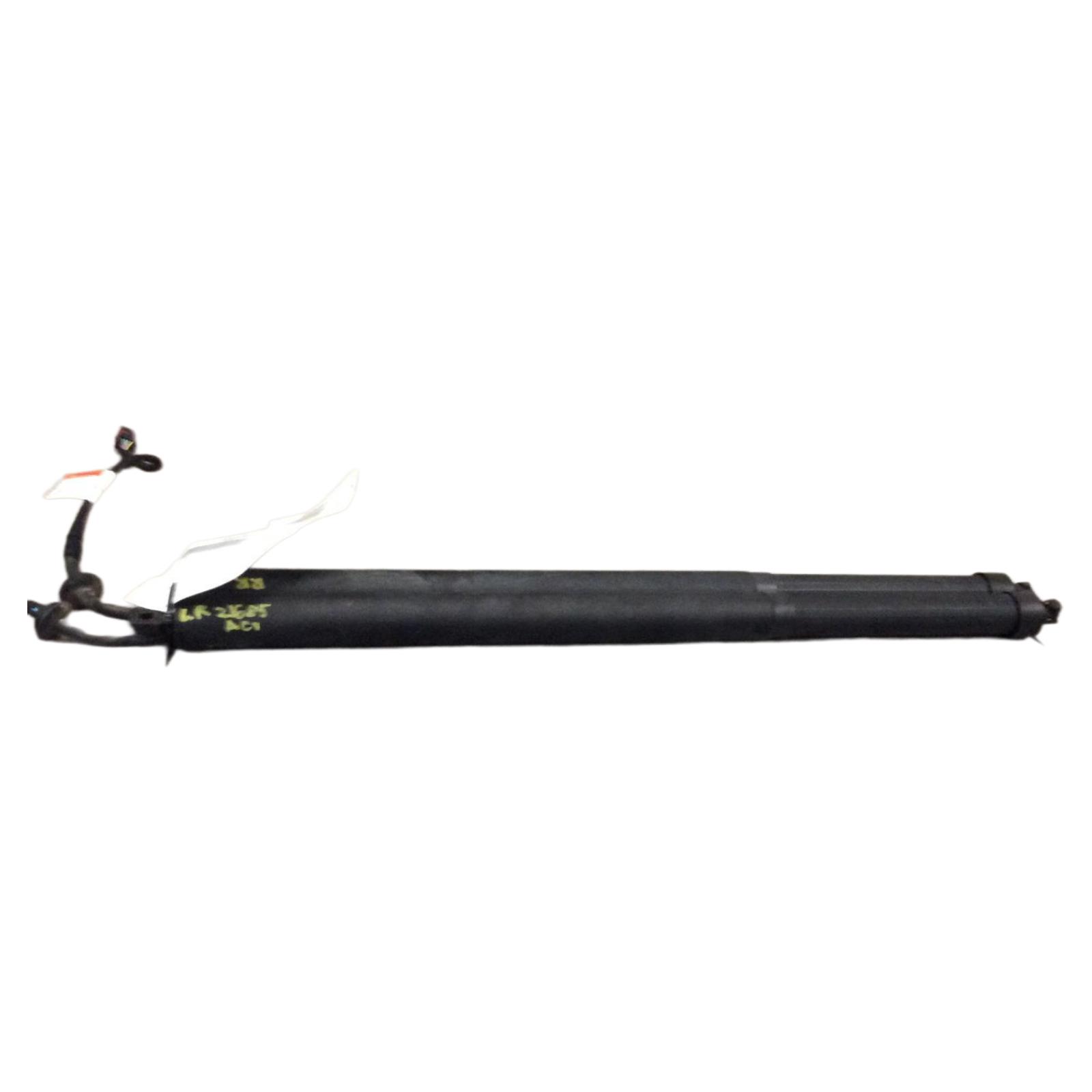 Trunk Lid Motor