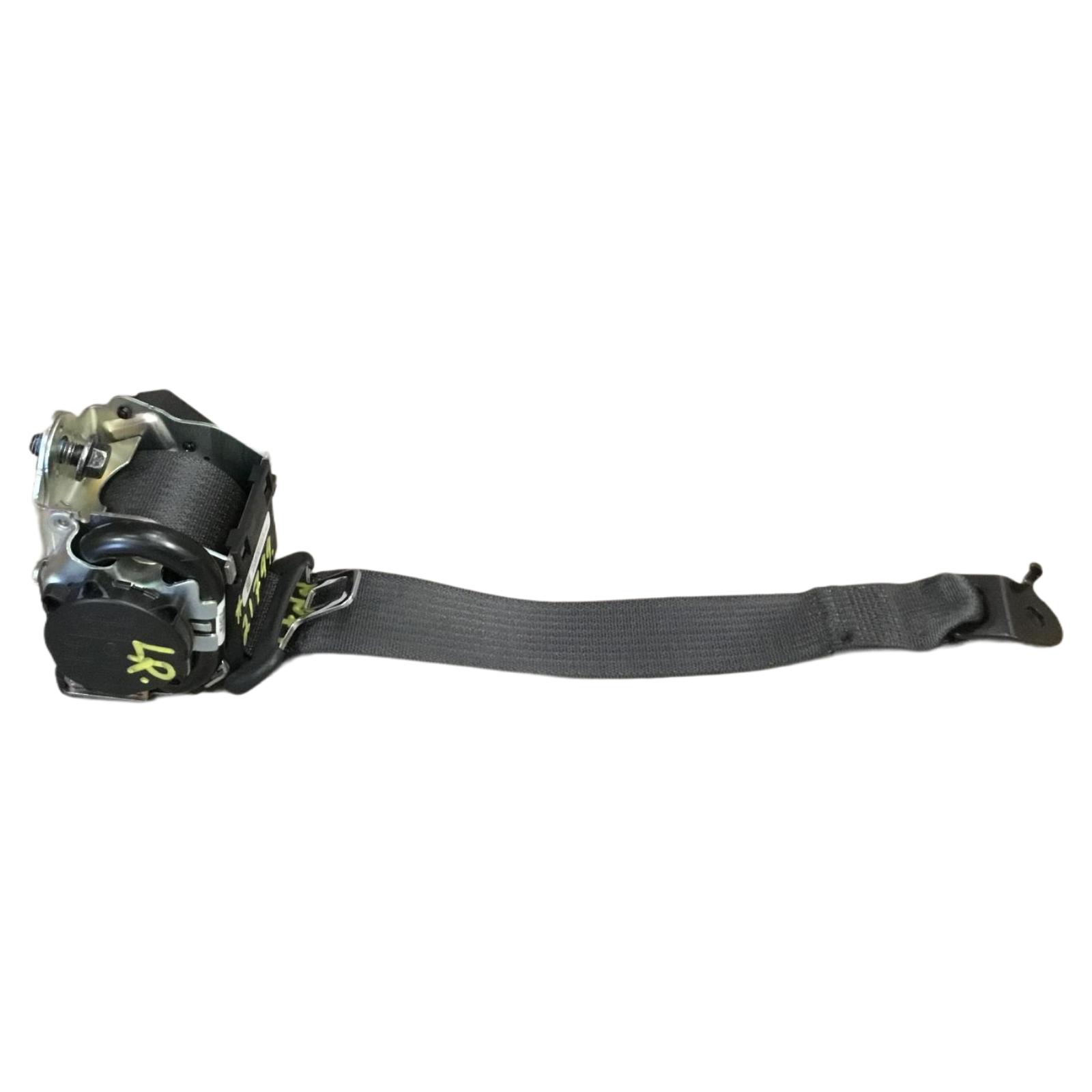 Rear Seat Belt