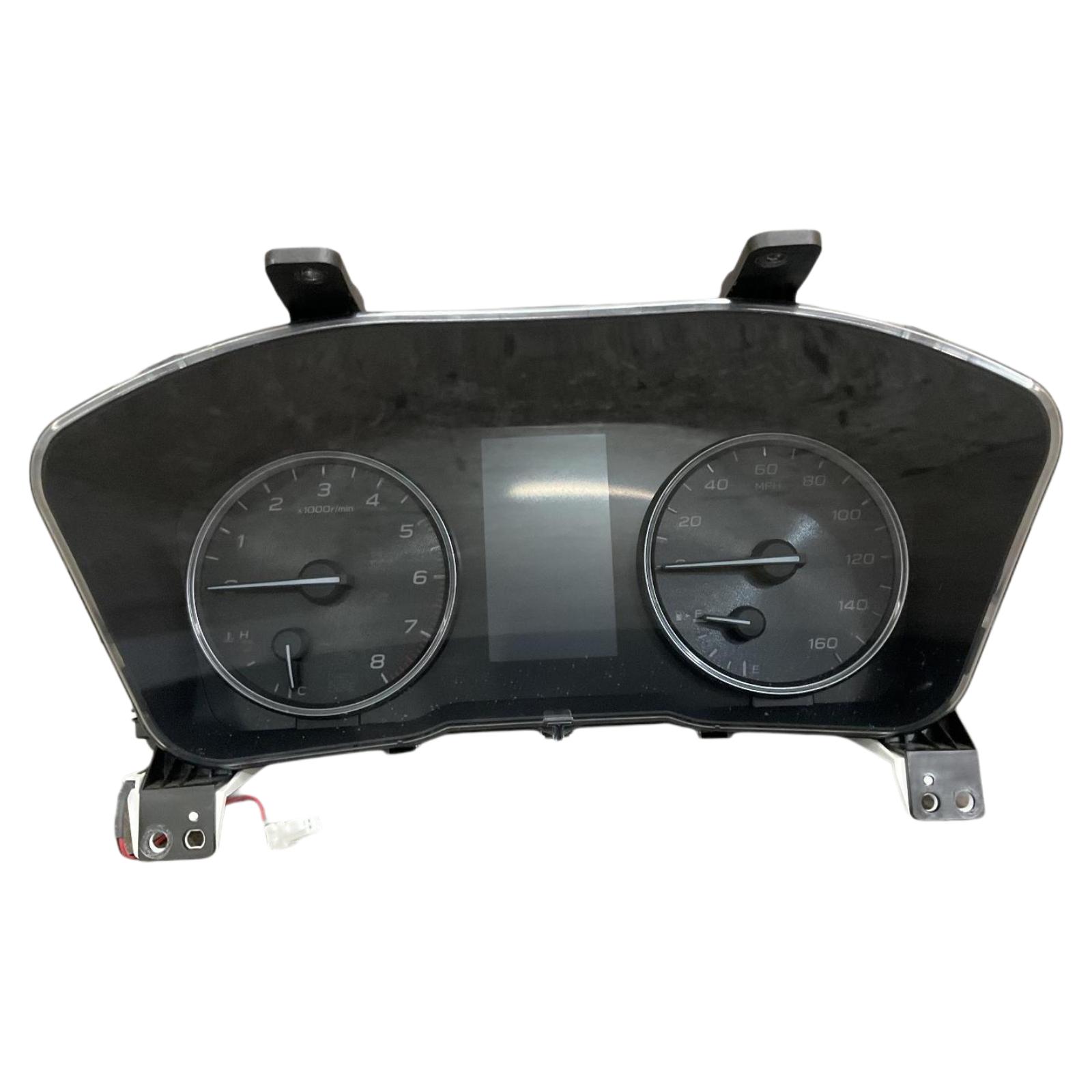 Speedo Head/Cluster