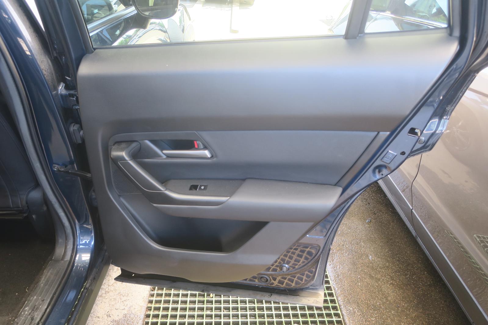 Trim Panel, Rr Dr
