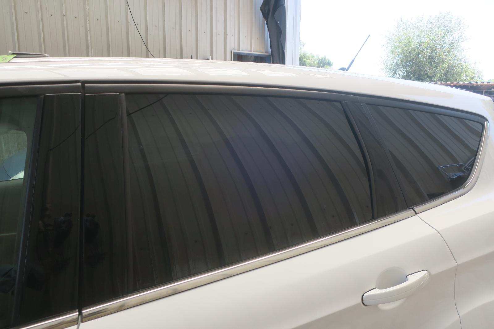 Rear Door Glass