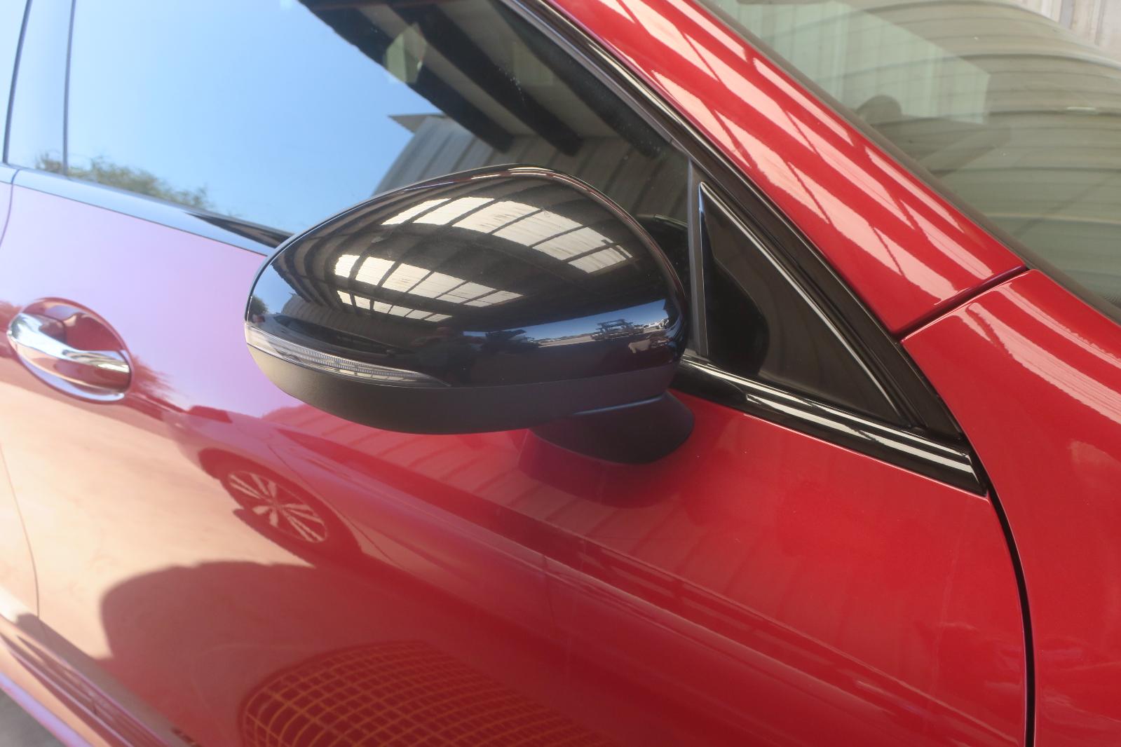 Door Mirror