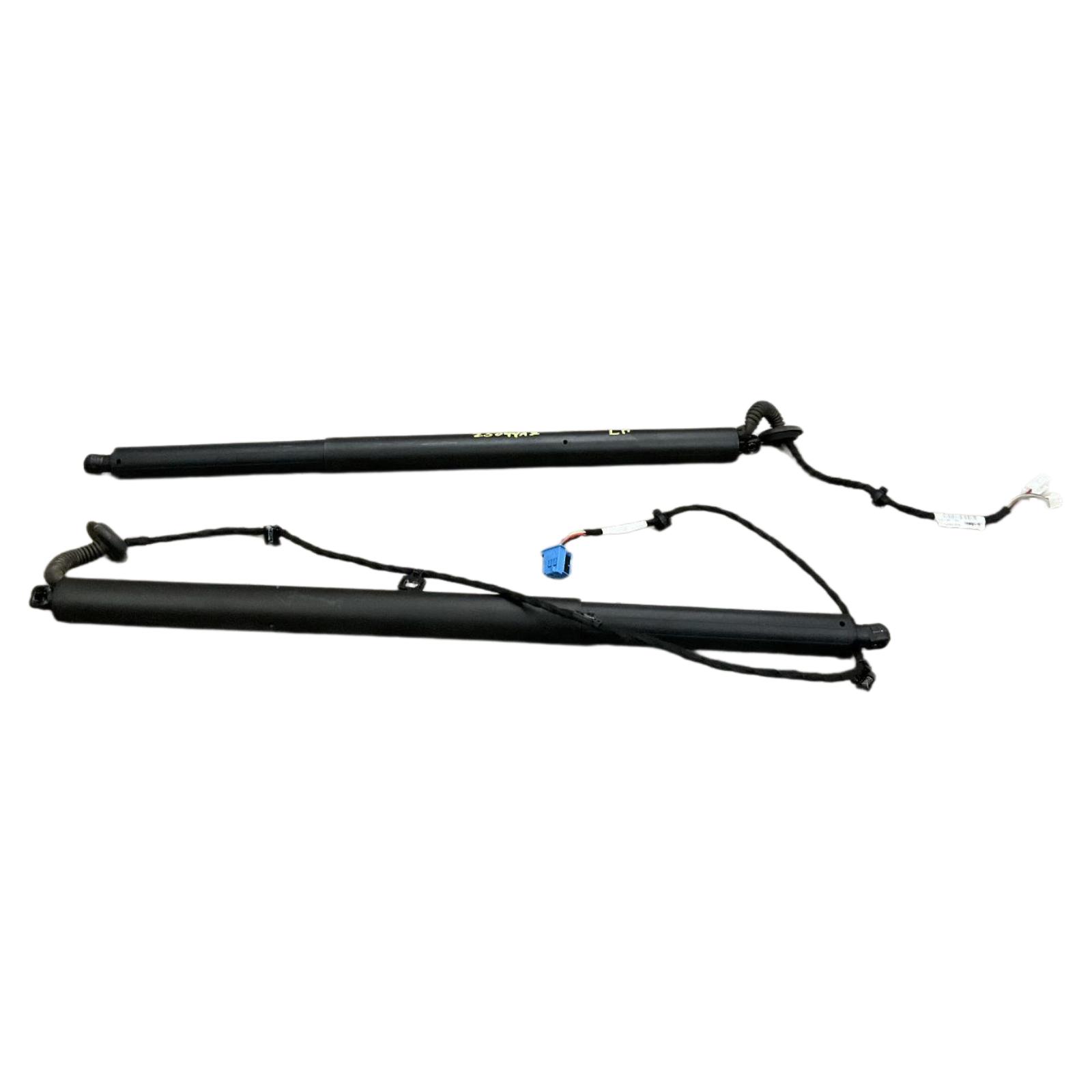 Trunk Lid Motor