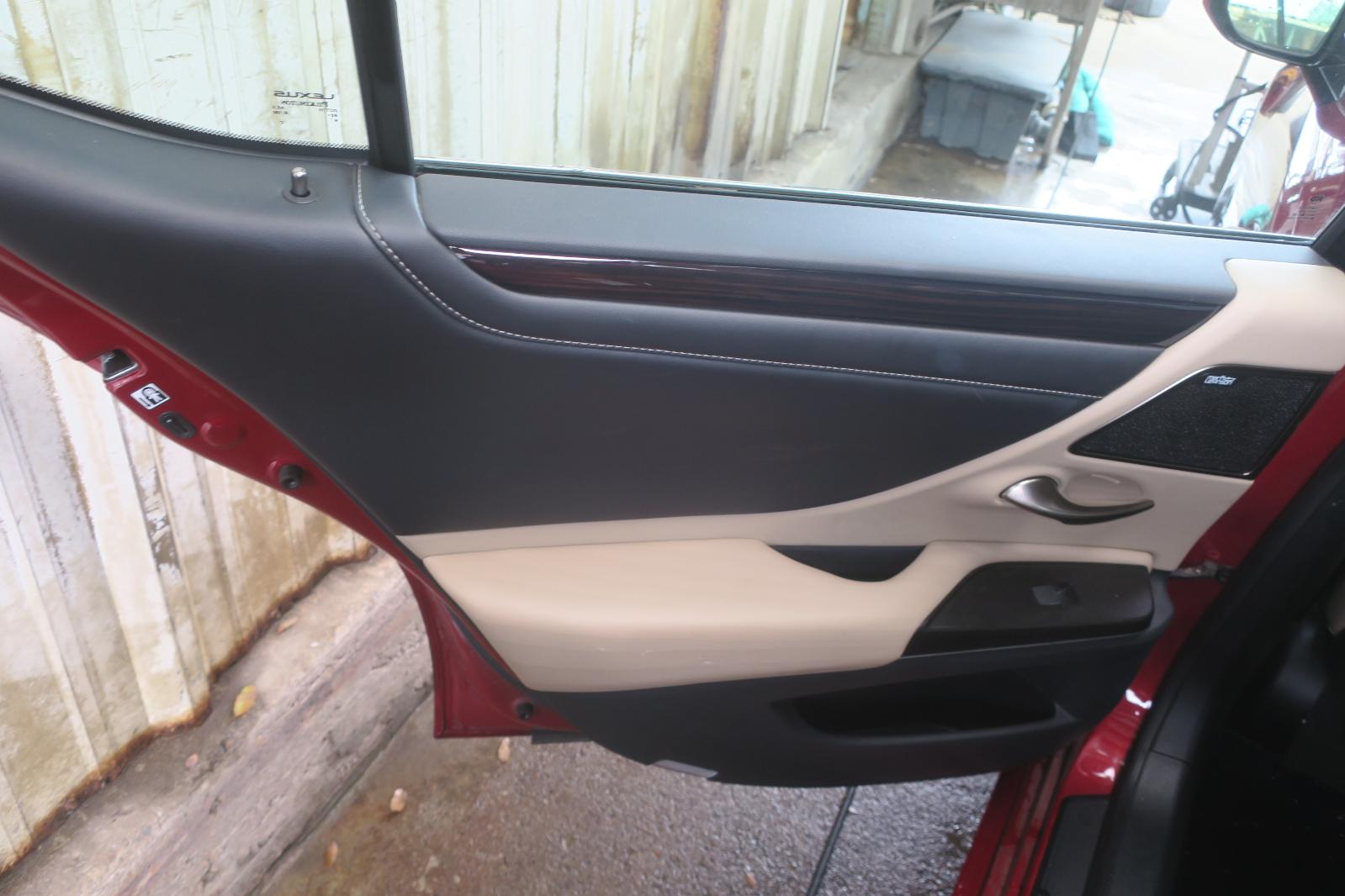 Trim Panel, Rr Dr