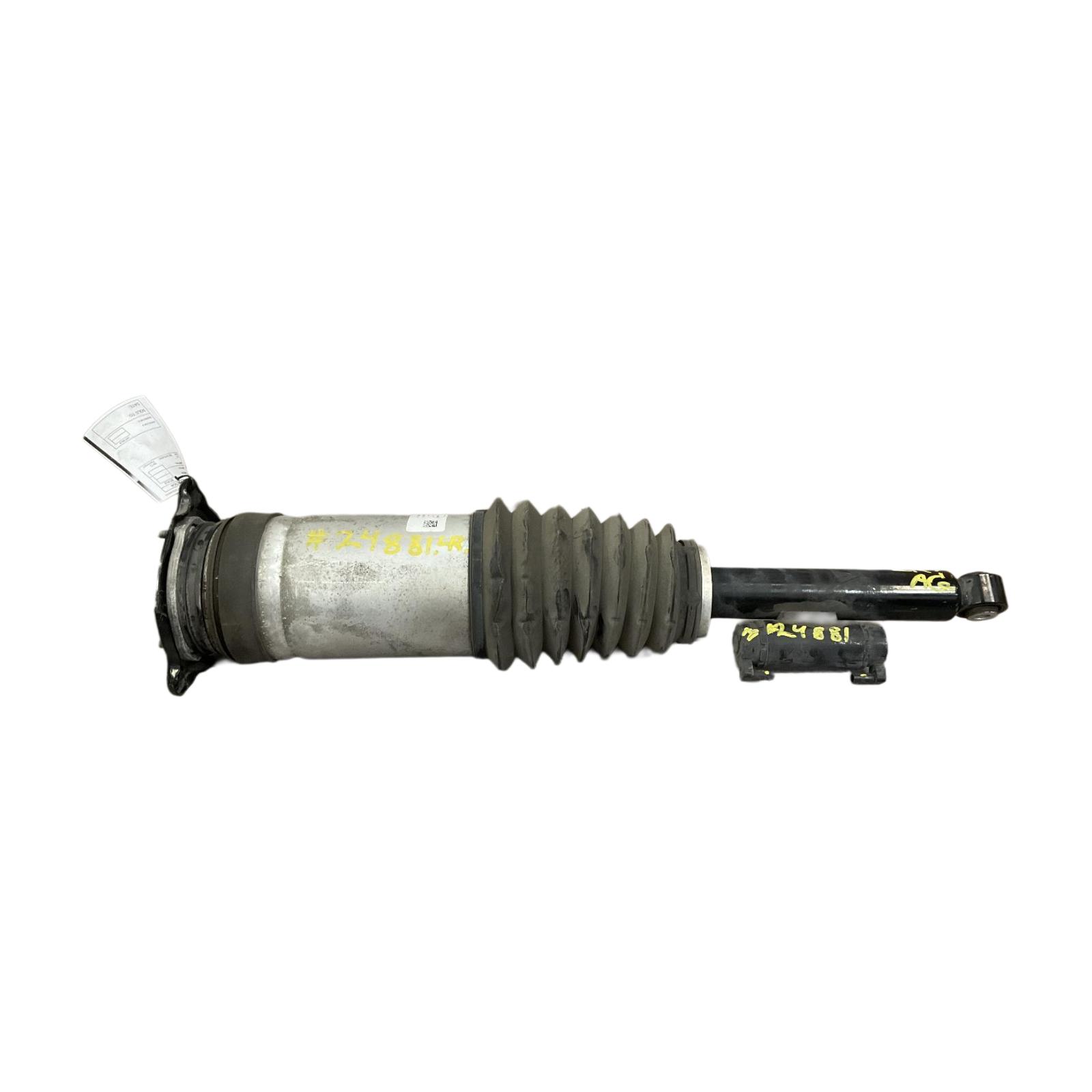 Strut Assembly