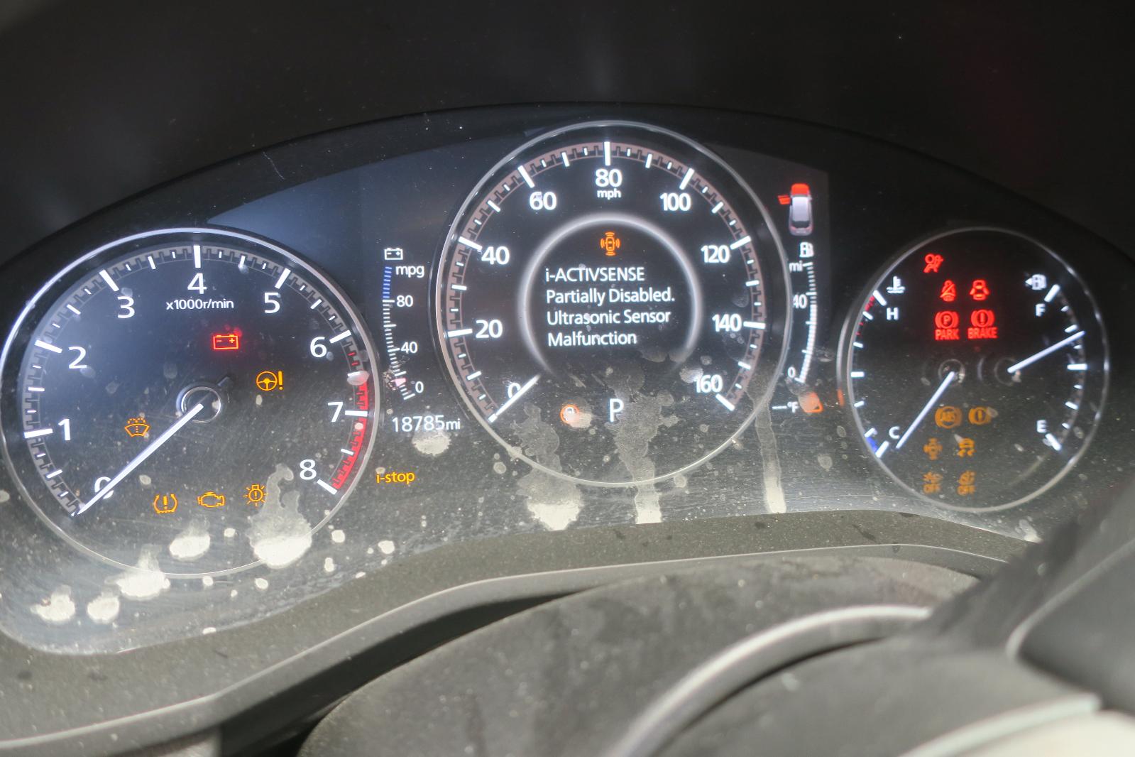 Speedo Head/Cluster
