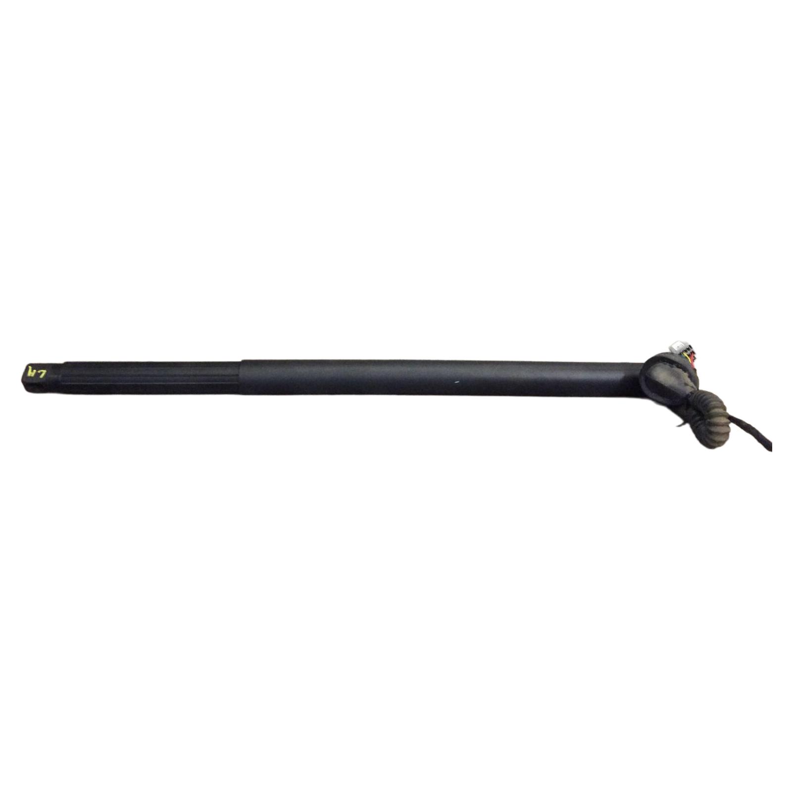 Trunk Lid Motor