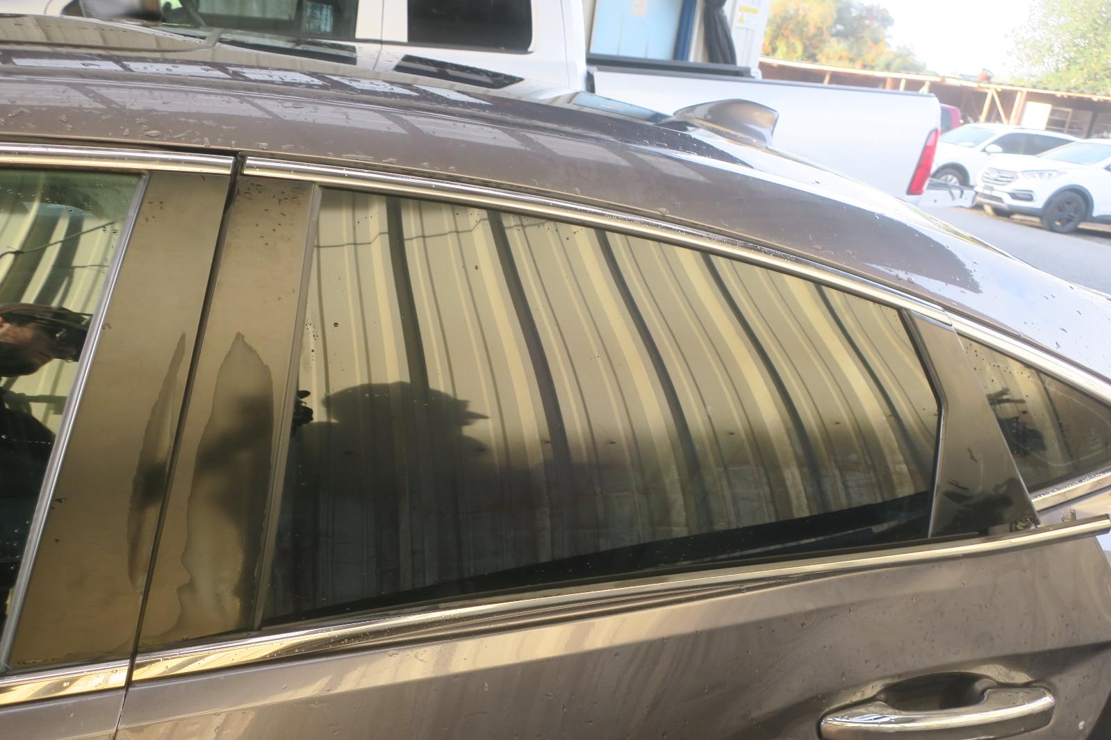 Rear Door Glass