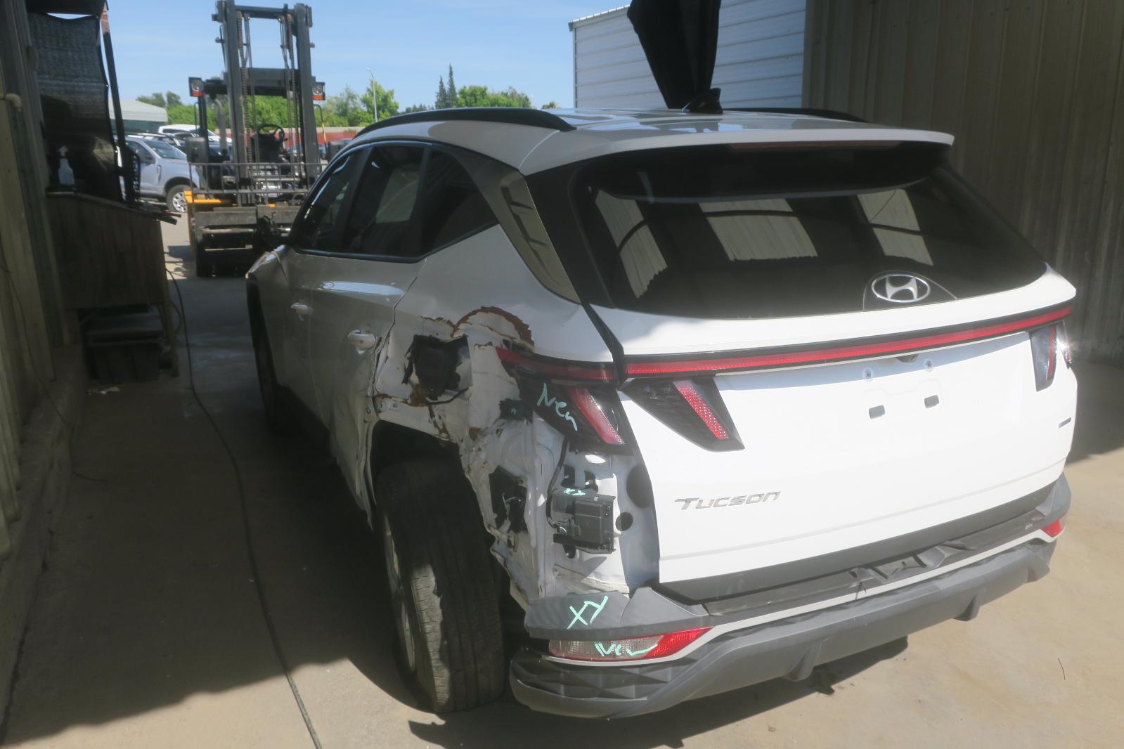Decklid  Tailgate