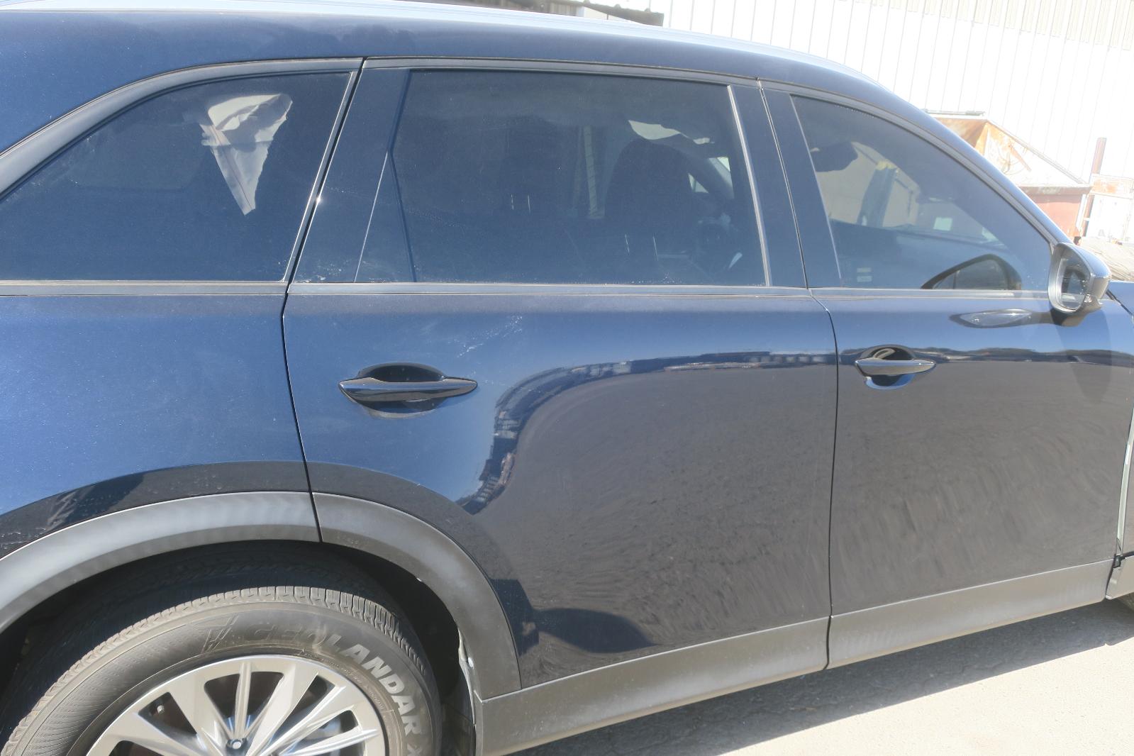 Rear Door Assembly