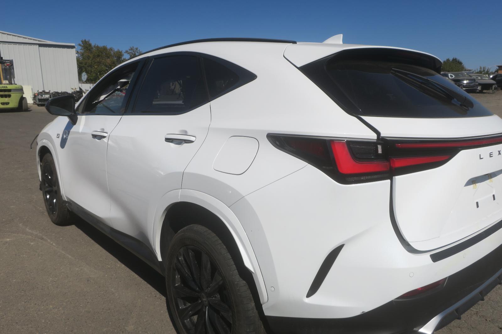Rear Quarter Panel