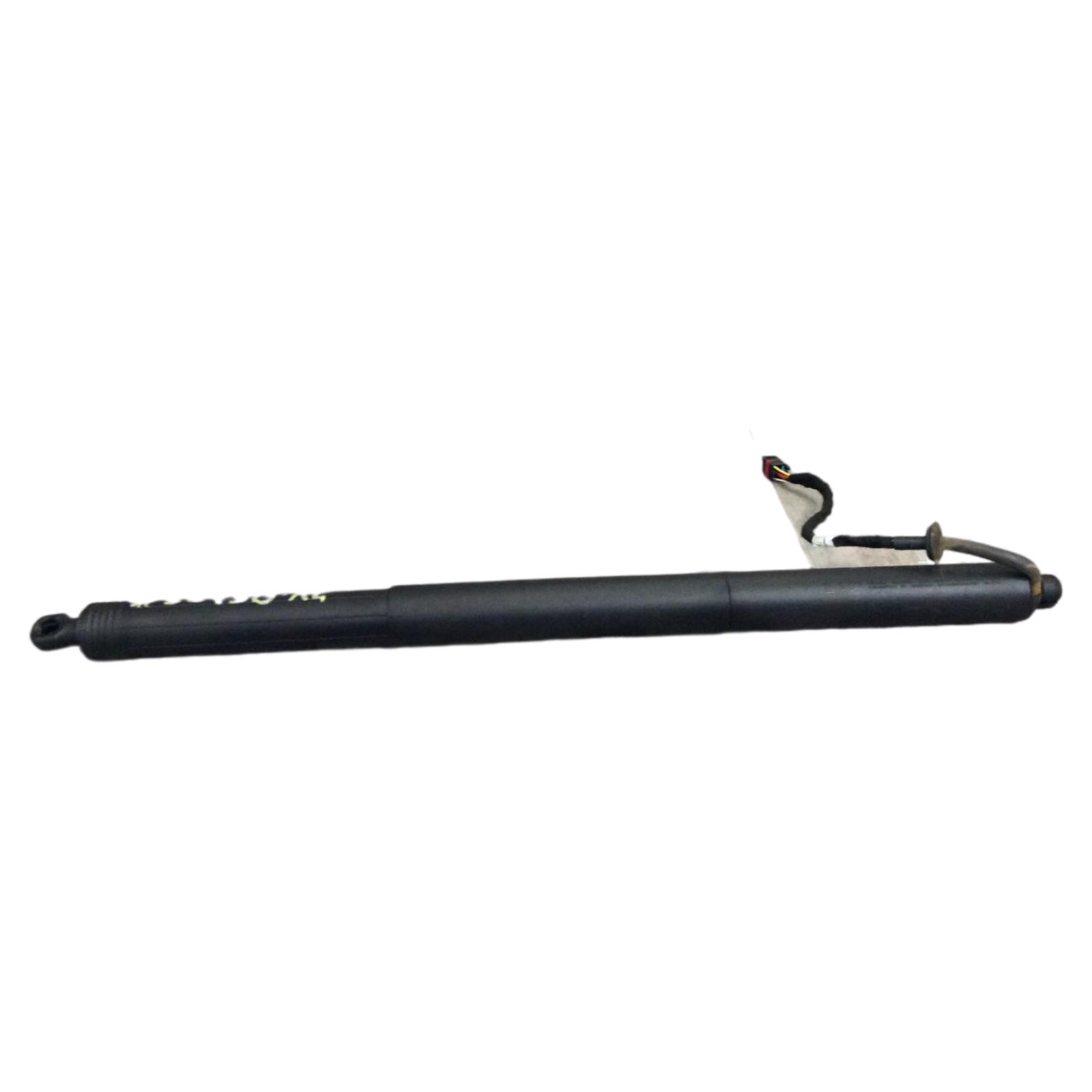 Trunk Lid Motor
