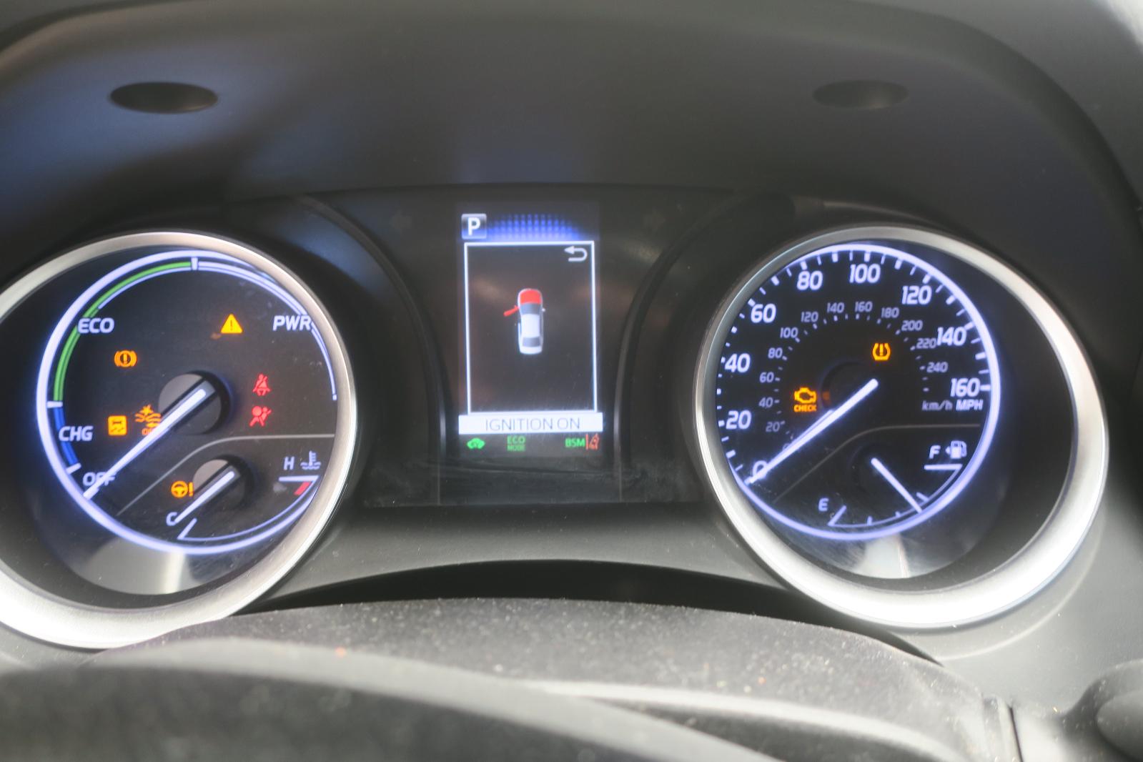 Speedo Head/Cluster