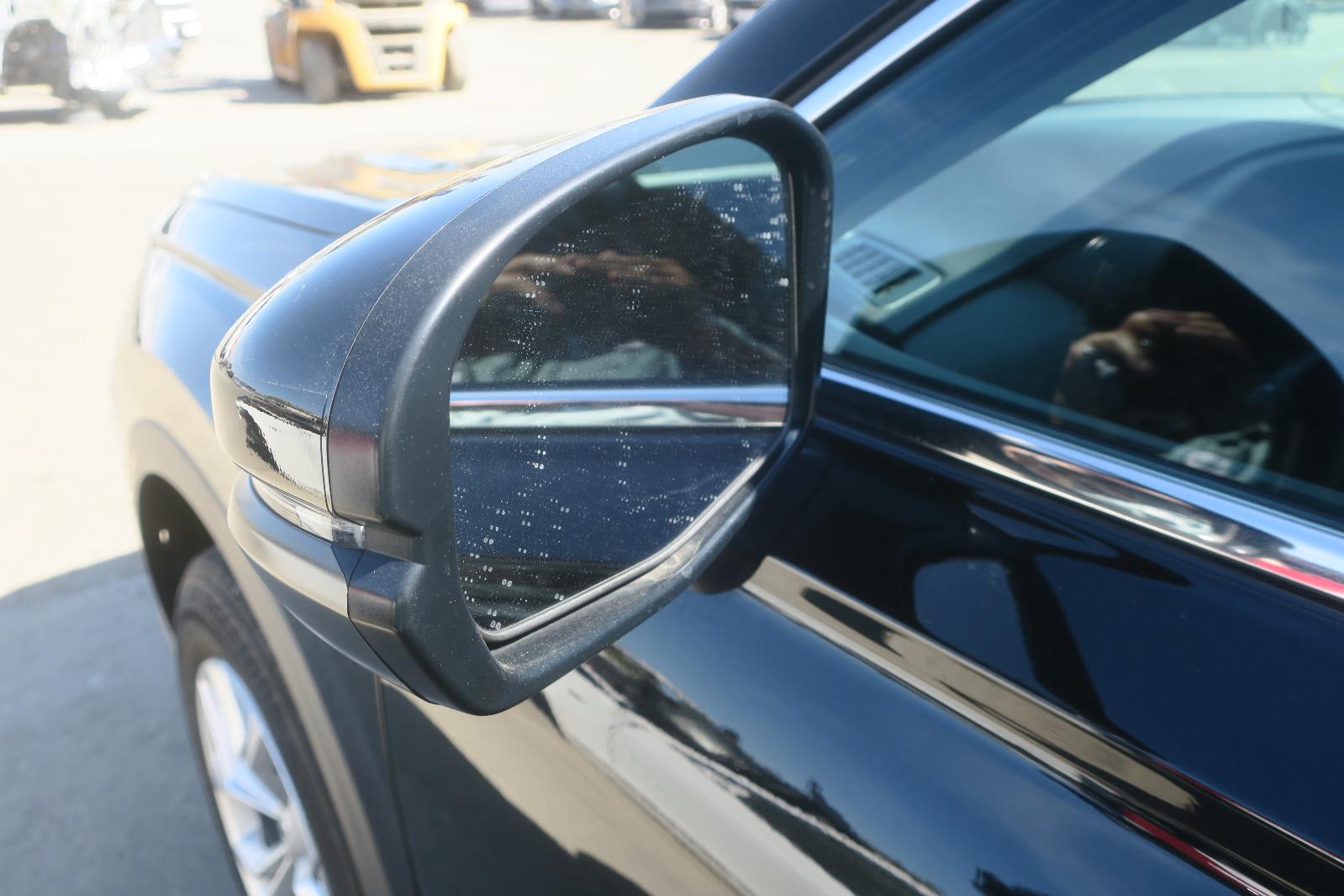 Door Mirror