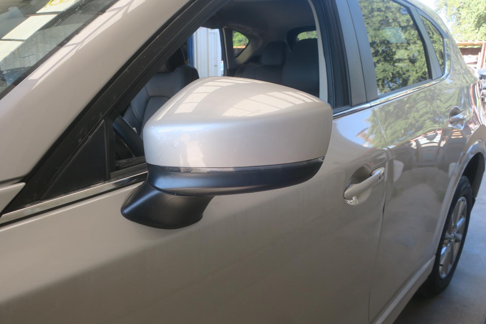 Door Mirror