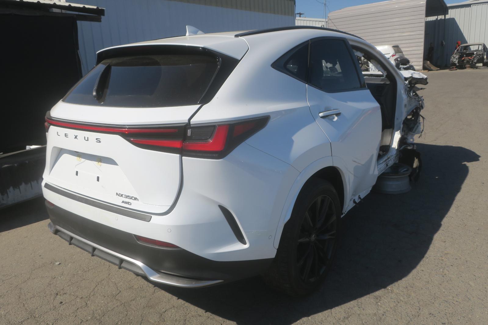Rear Quarter Panel