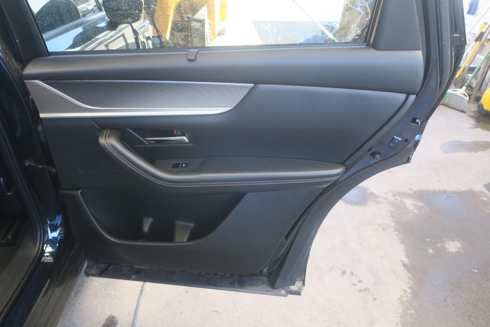 Rear Door Panel
