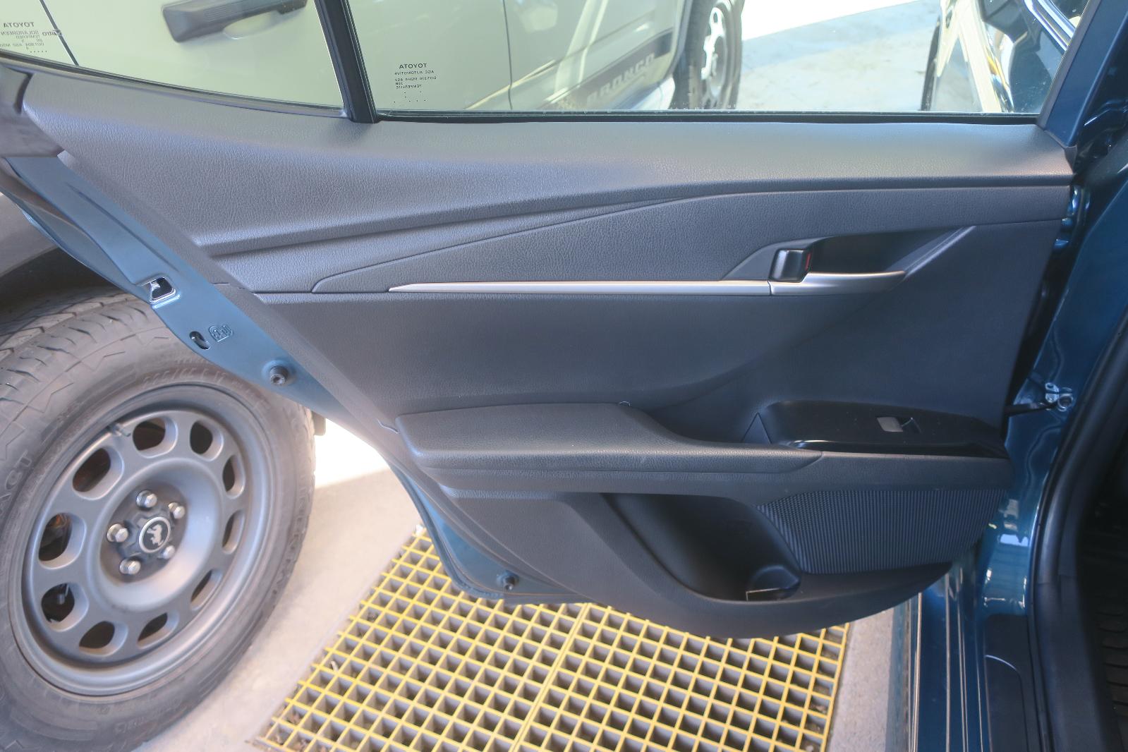 Trim Panel, Rr Dr