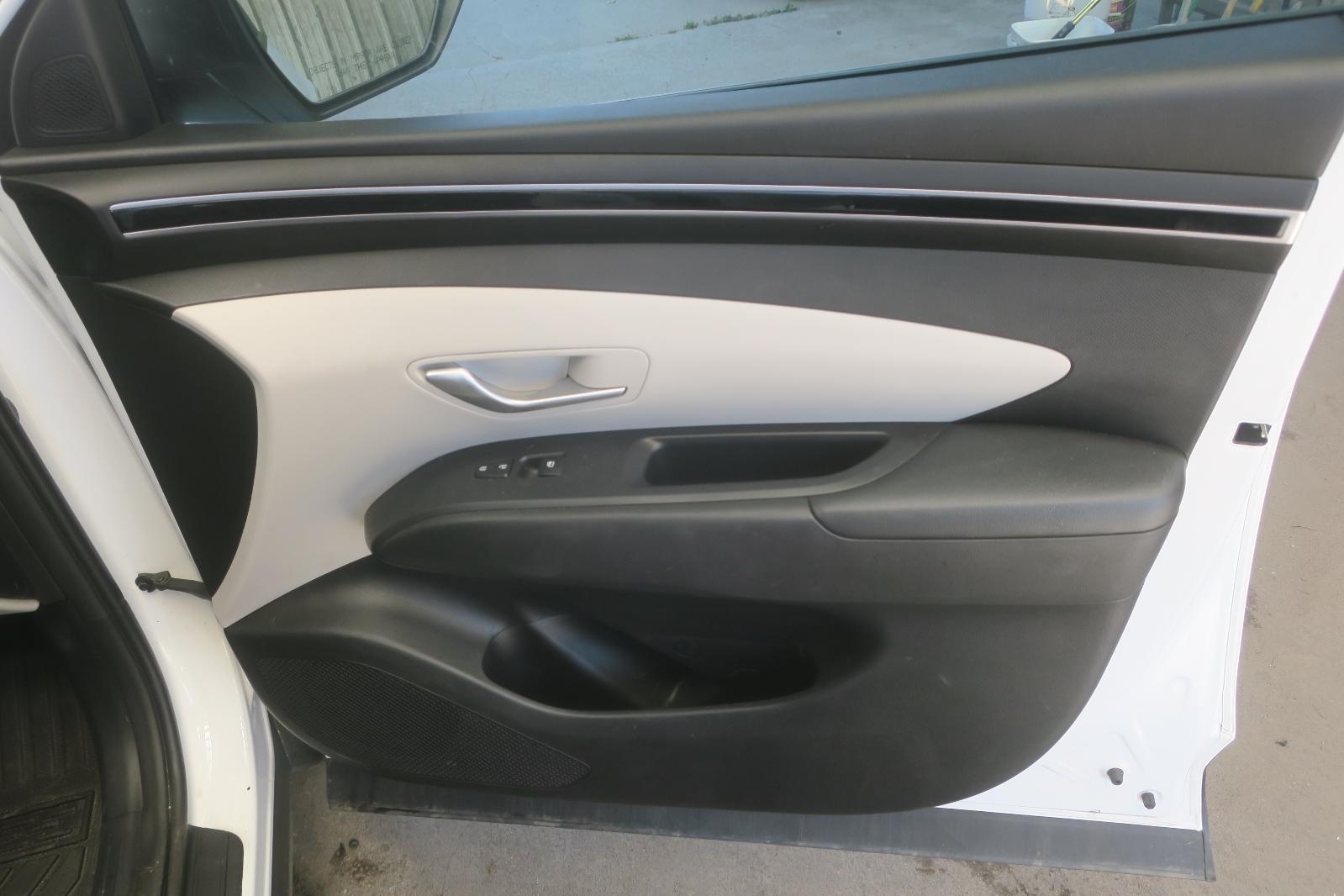 Trim Panel, Fr Dr