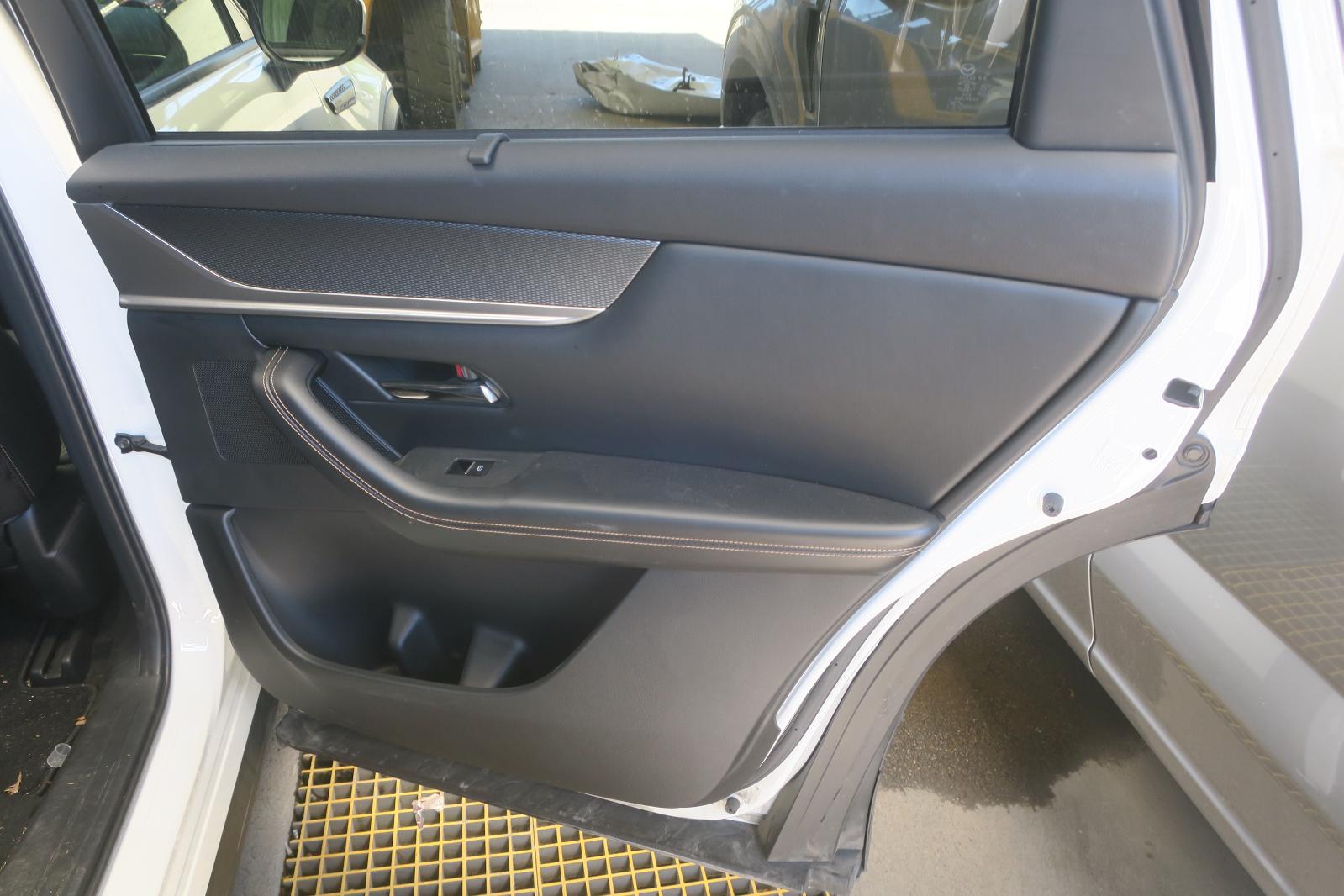 Trim Panel, Rr Dr