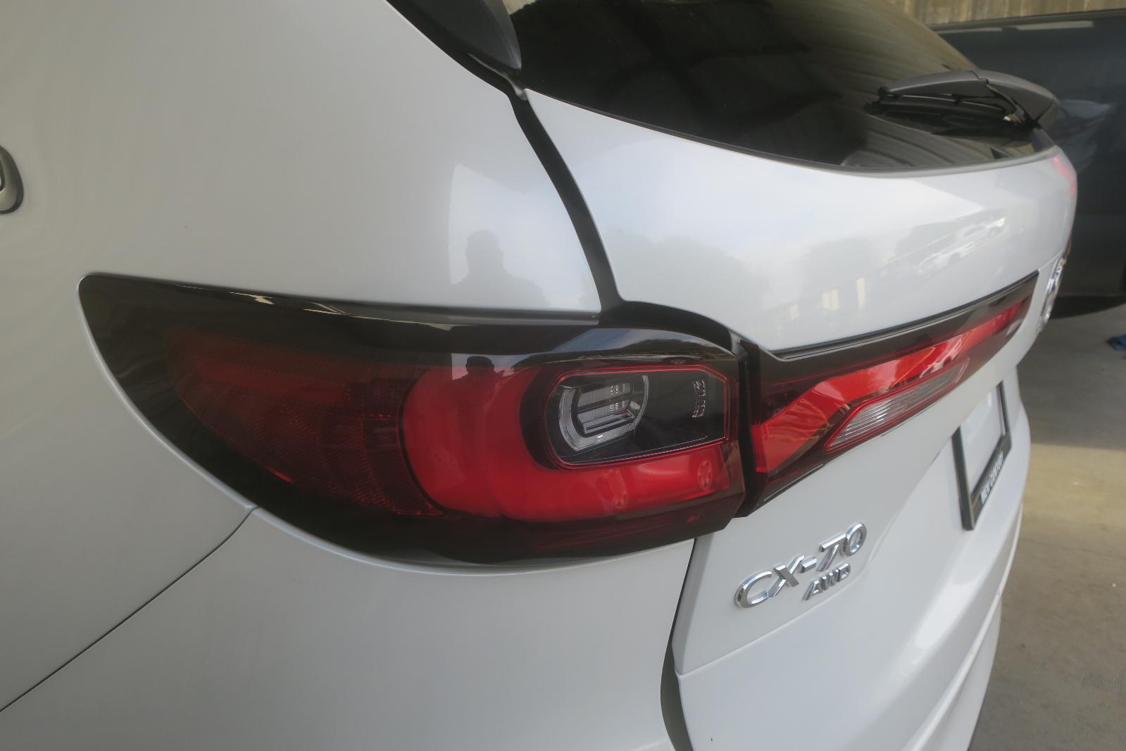 Tail Lamp