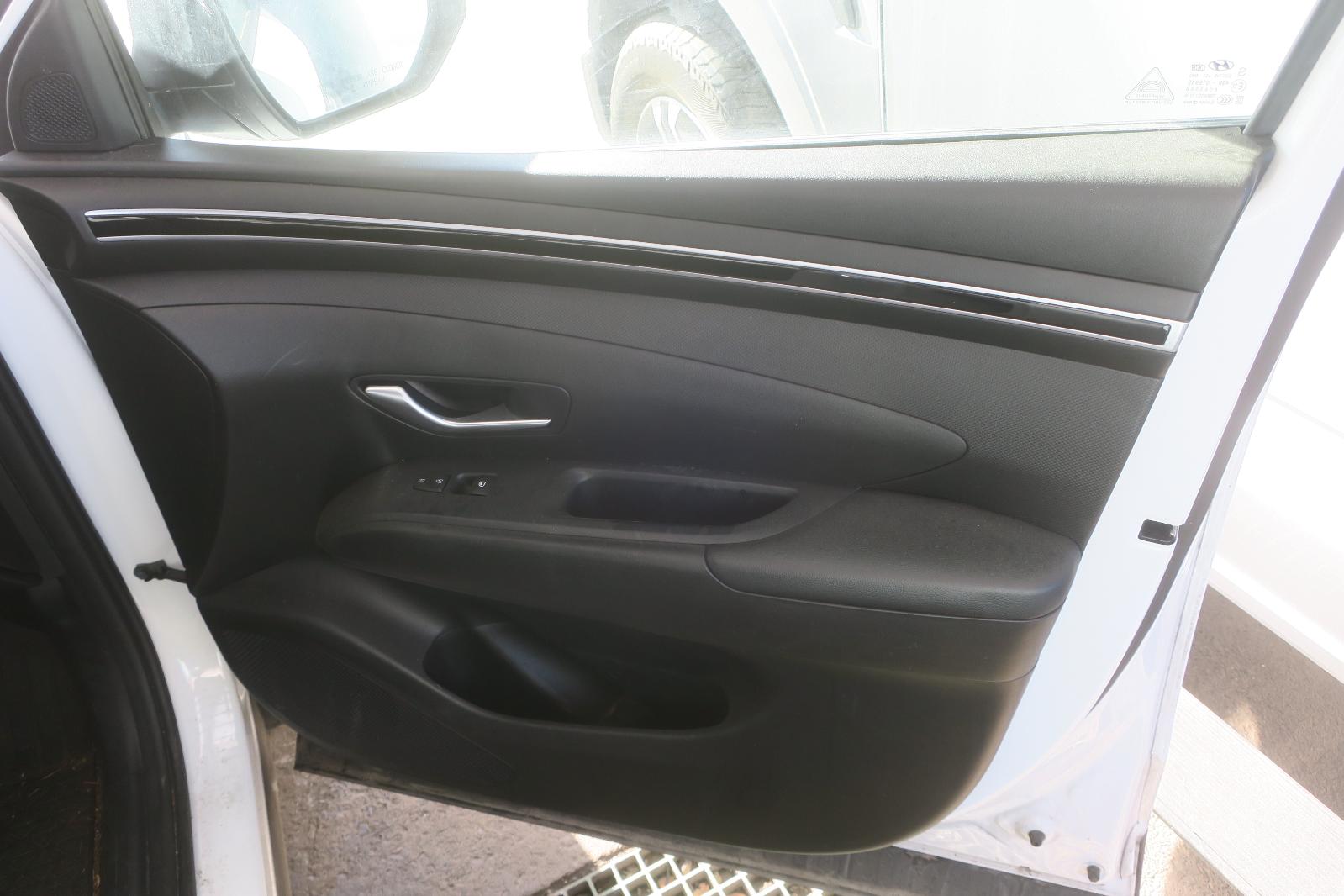 Trim Panel, Fr Dr