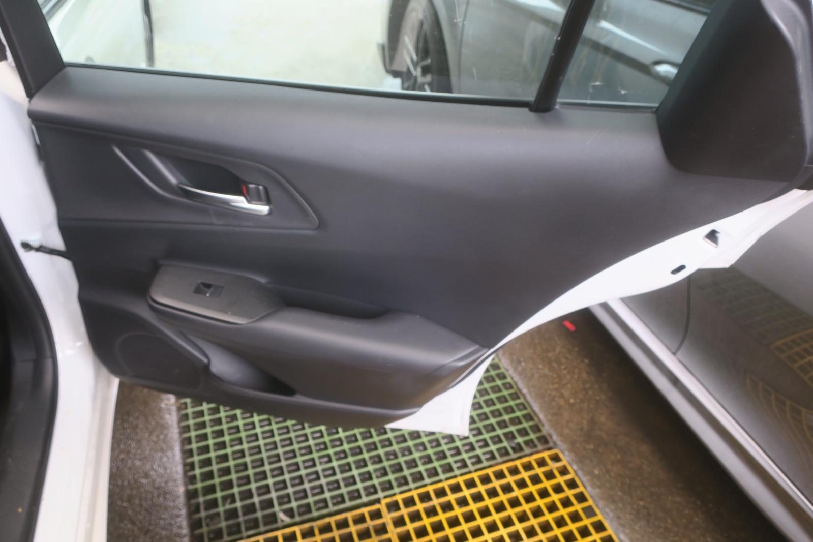 Trim Panel, Rr Dr