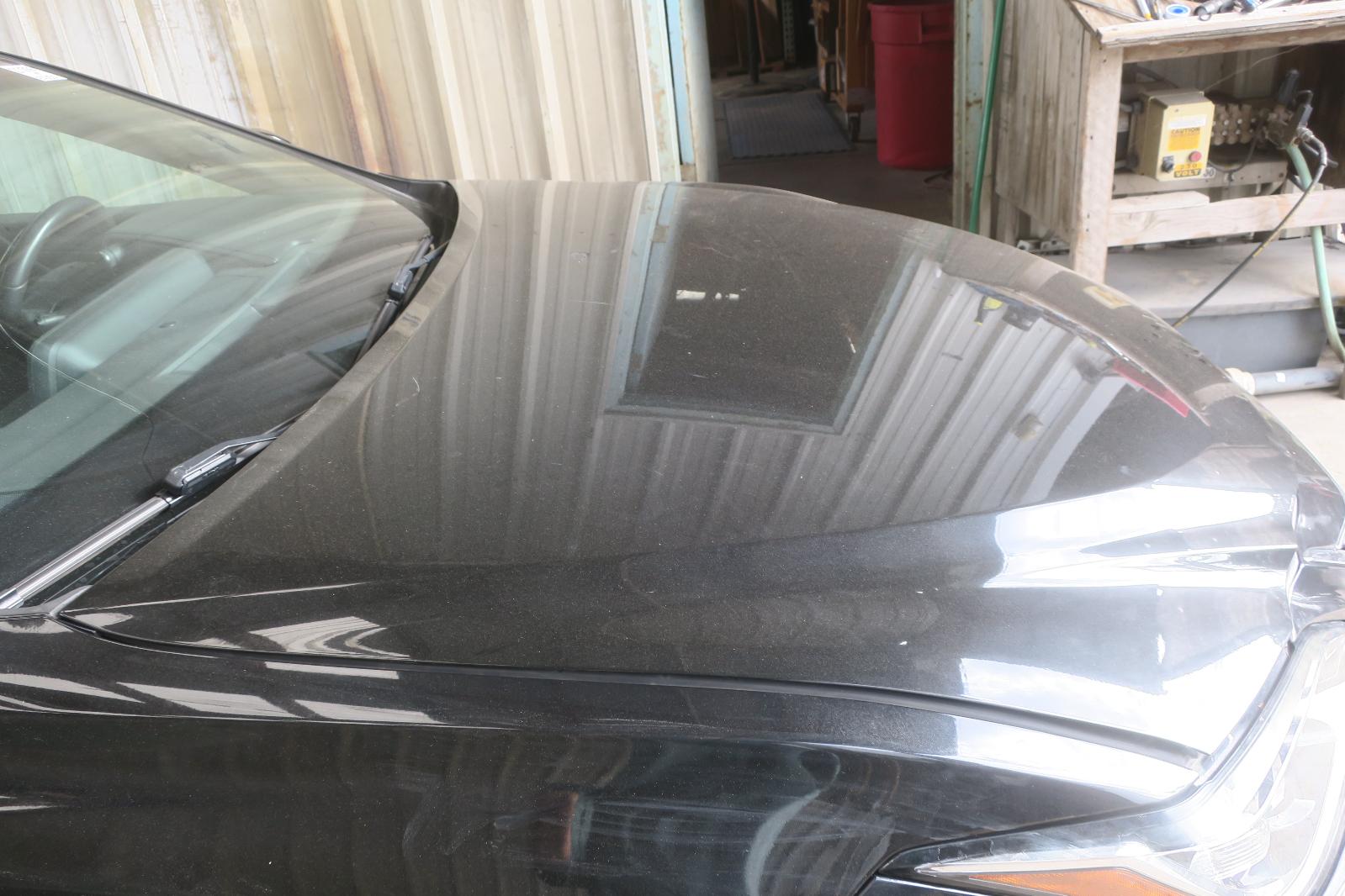 2019 Lexus ES 350 Hood