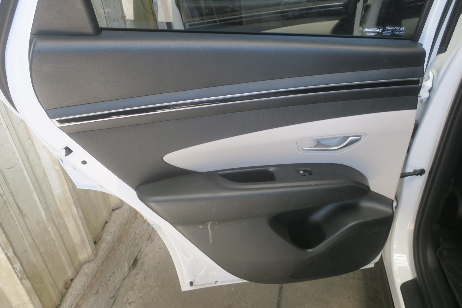 Trim Panel, Rr Dr